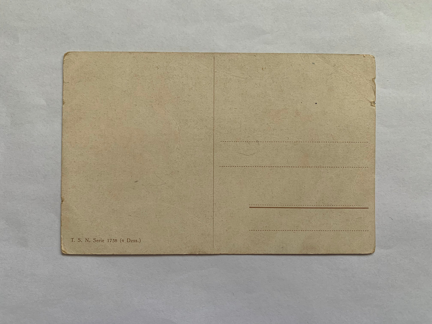 Old postcard - Antique postcard - Animal Post card - Horses and Dogs - Carte Postale - Early 1900's - Unused