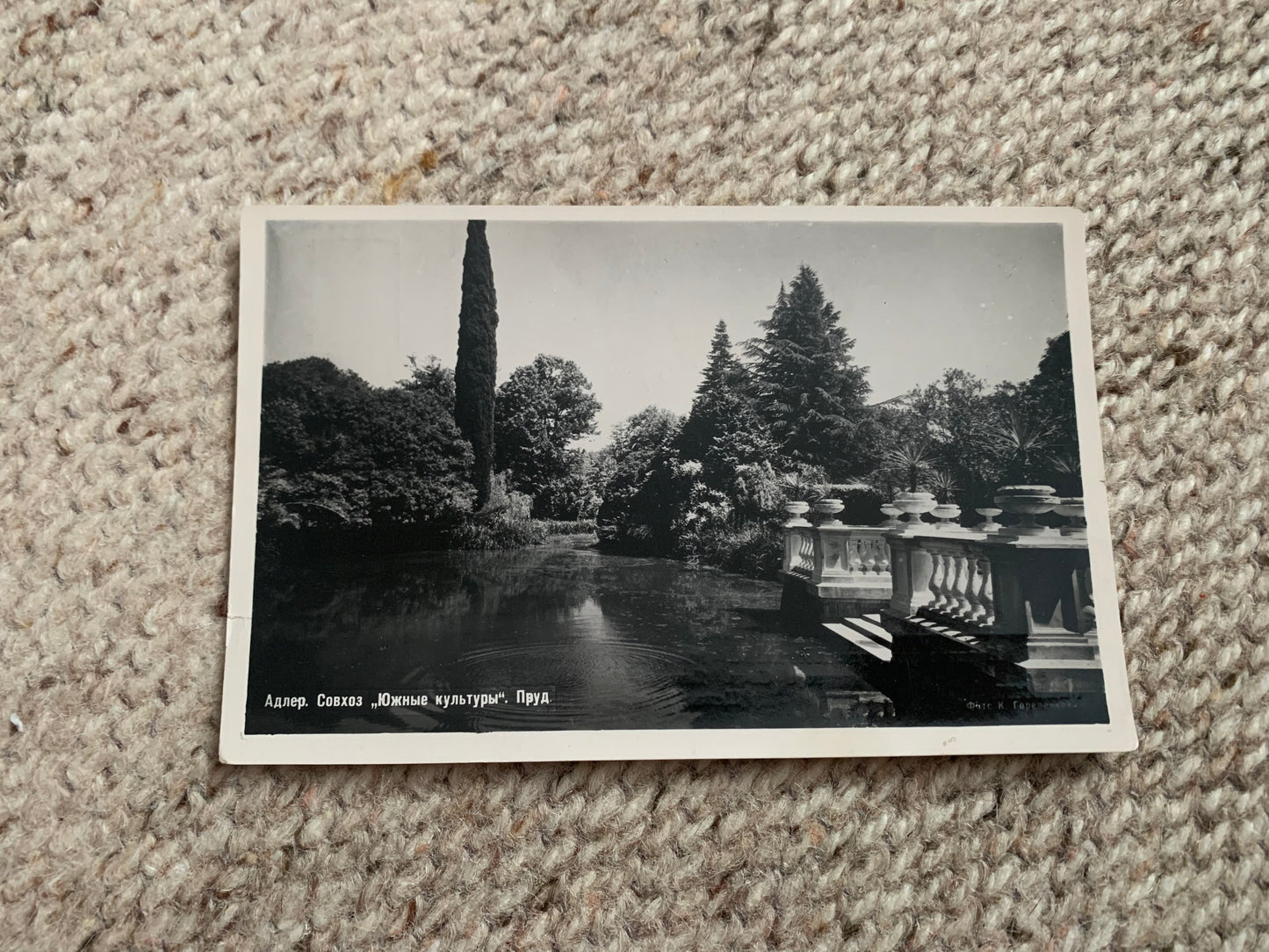 Soviet-time postcard for collecting - USSR view card - Adler - State Farm Southern Cultures - Pond - 1958 - postally unused