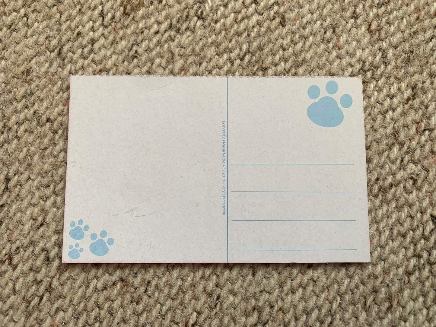 CAT postcard - Collectible card - 2013 - unused