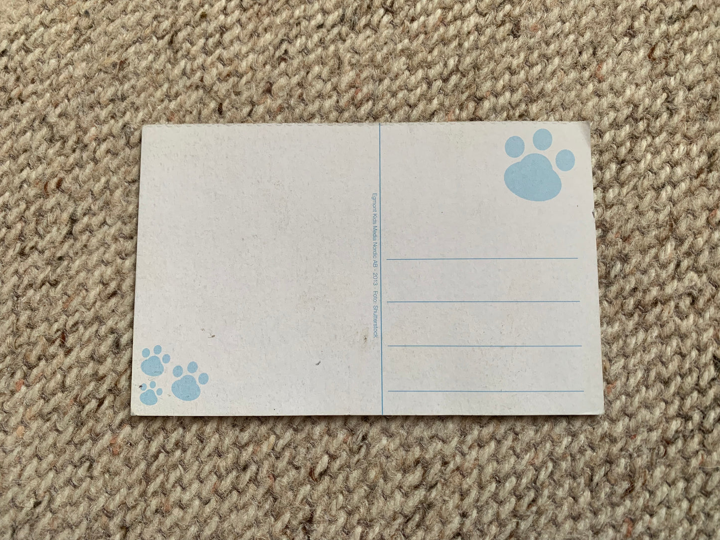 CAT postcard - Collectible card - 2013 - unused