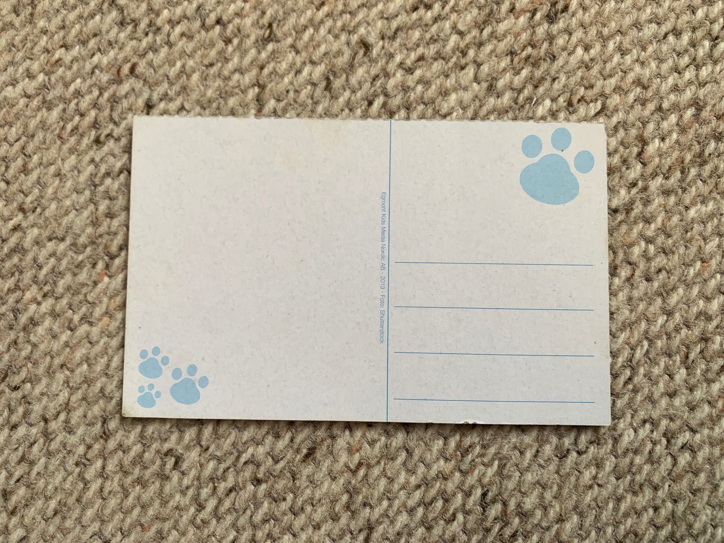 CAT postcard - Collectible card - 2013 - unused