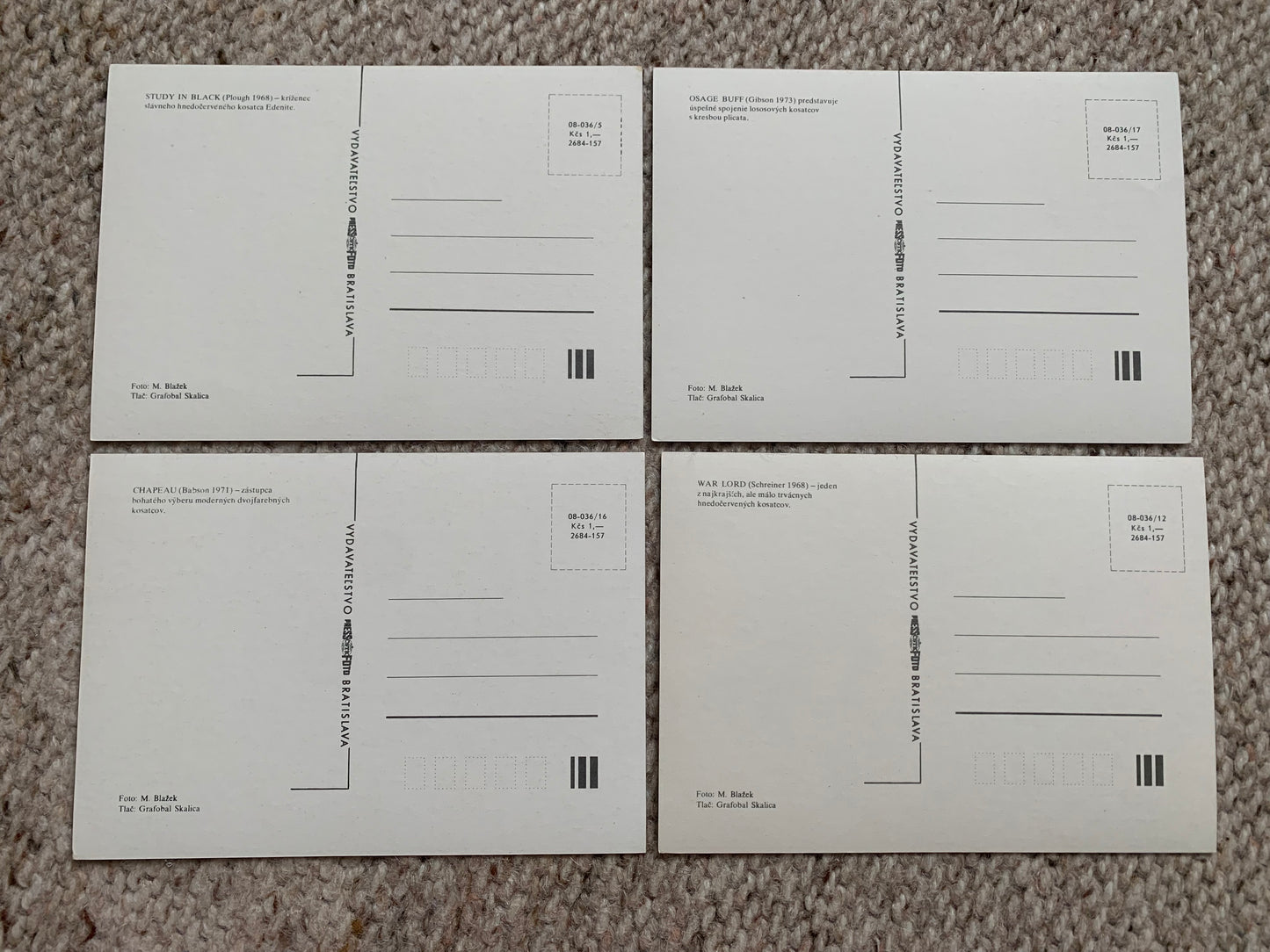 18 Unused FLOWER / FLORAL postcards - IRIS - Perennial plant - Printed in Czechoslovakia - 1980s