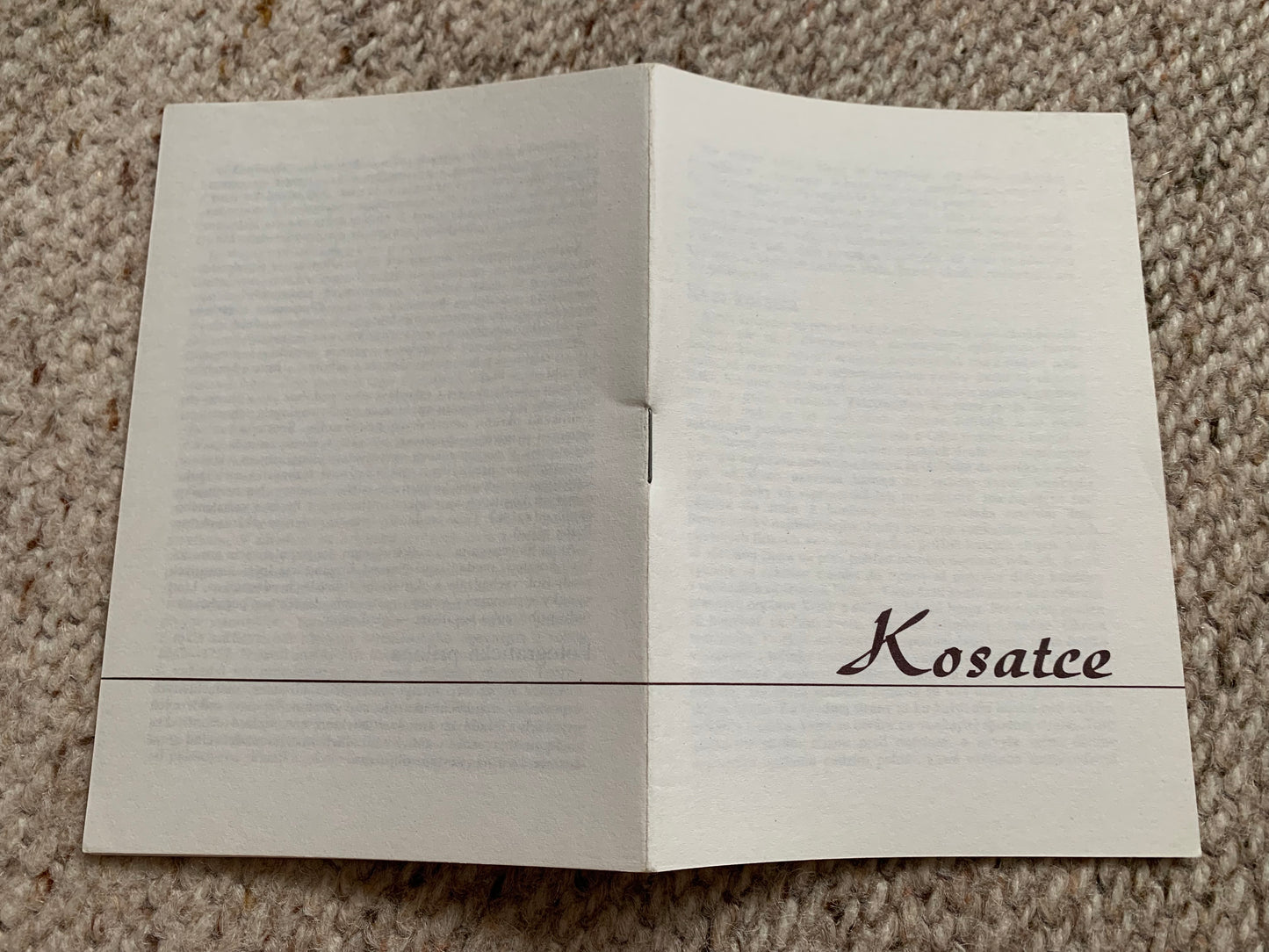 18 Unused FLOWER / FLORAL postcards - IRIS - Perennial plant - Printed in Czechoslovakia - 1980s