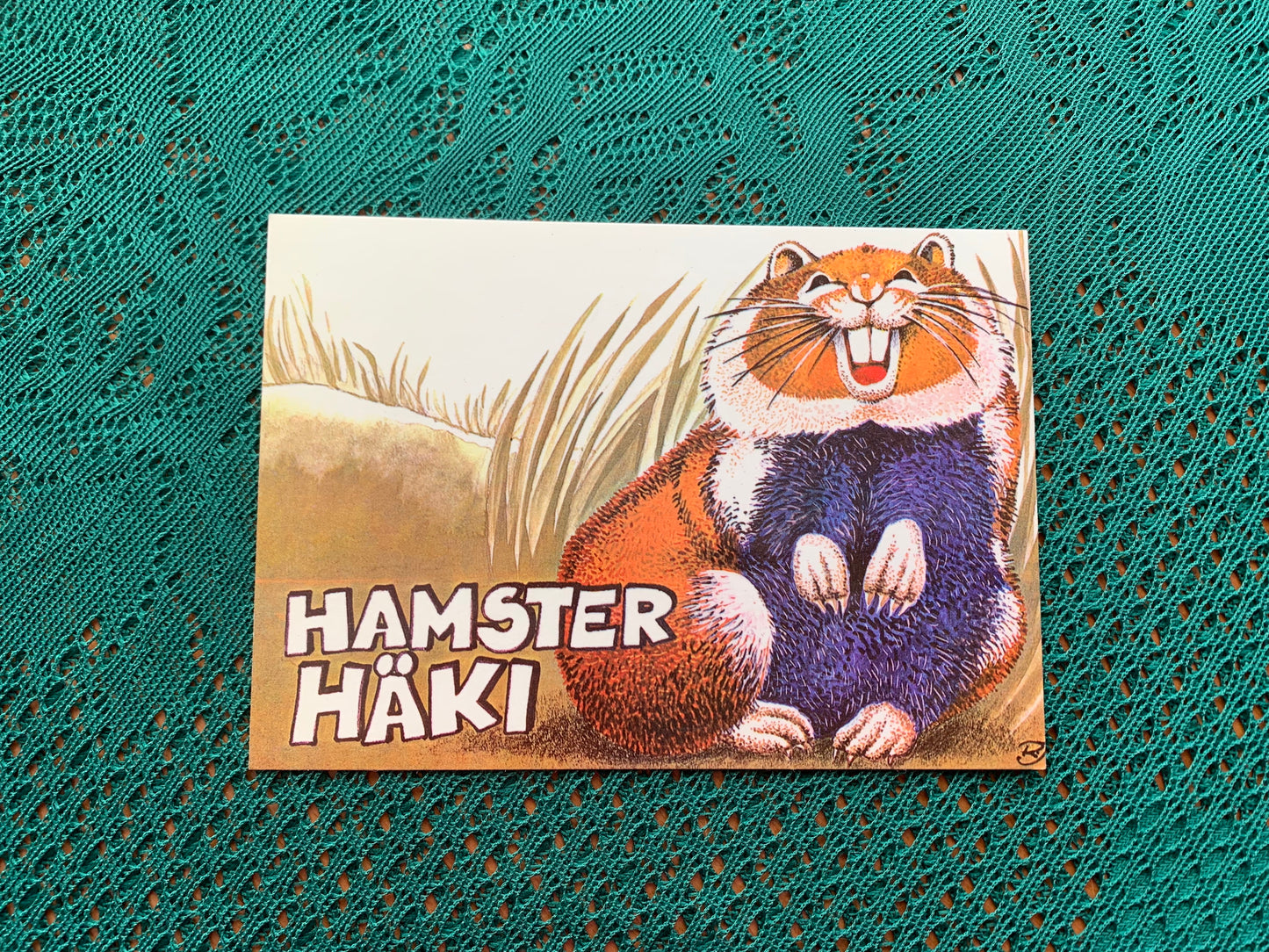 Estonian art postcard - Artist Raivo Järvi - Hamster Haki - 1982 - unused