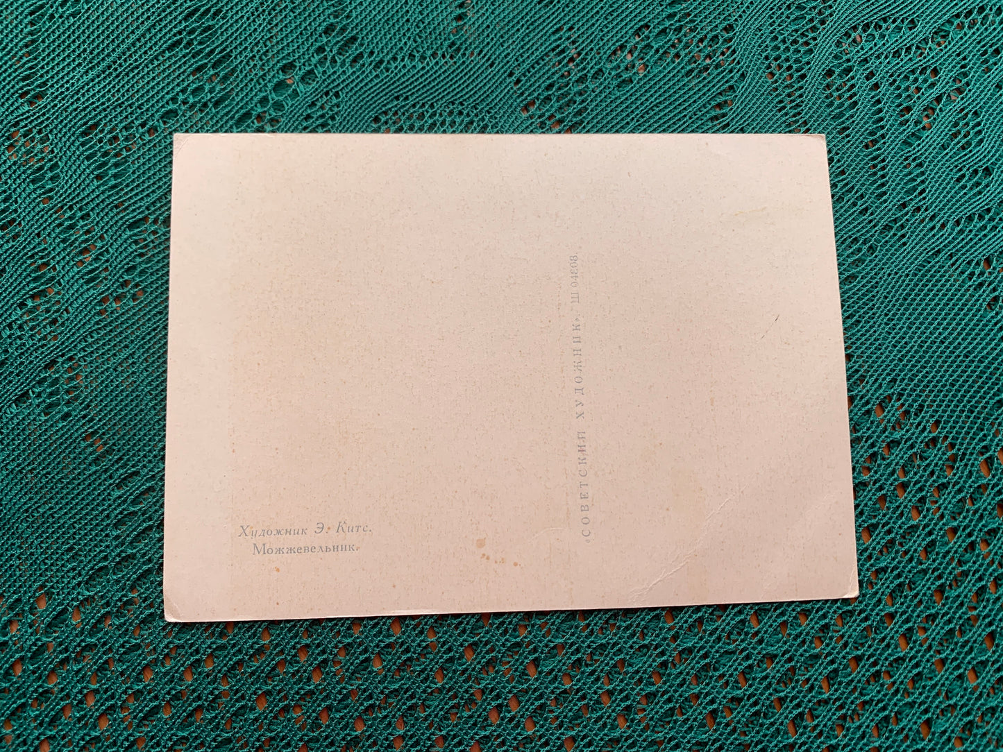 Soviet Russian art postcard - Artist Elmar Kits - Juniper - 1957 - unused