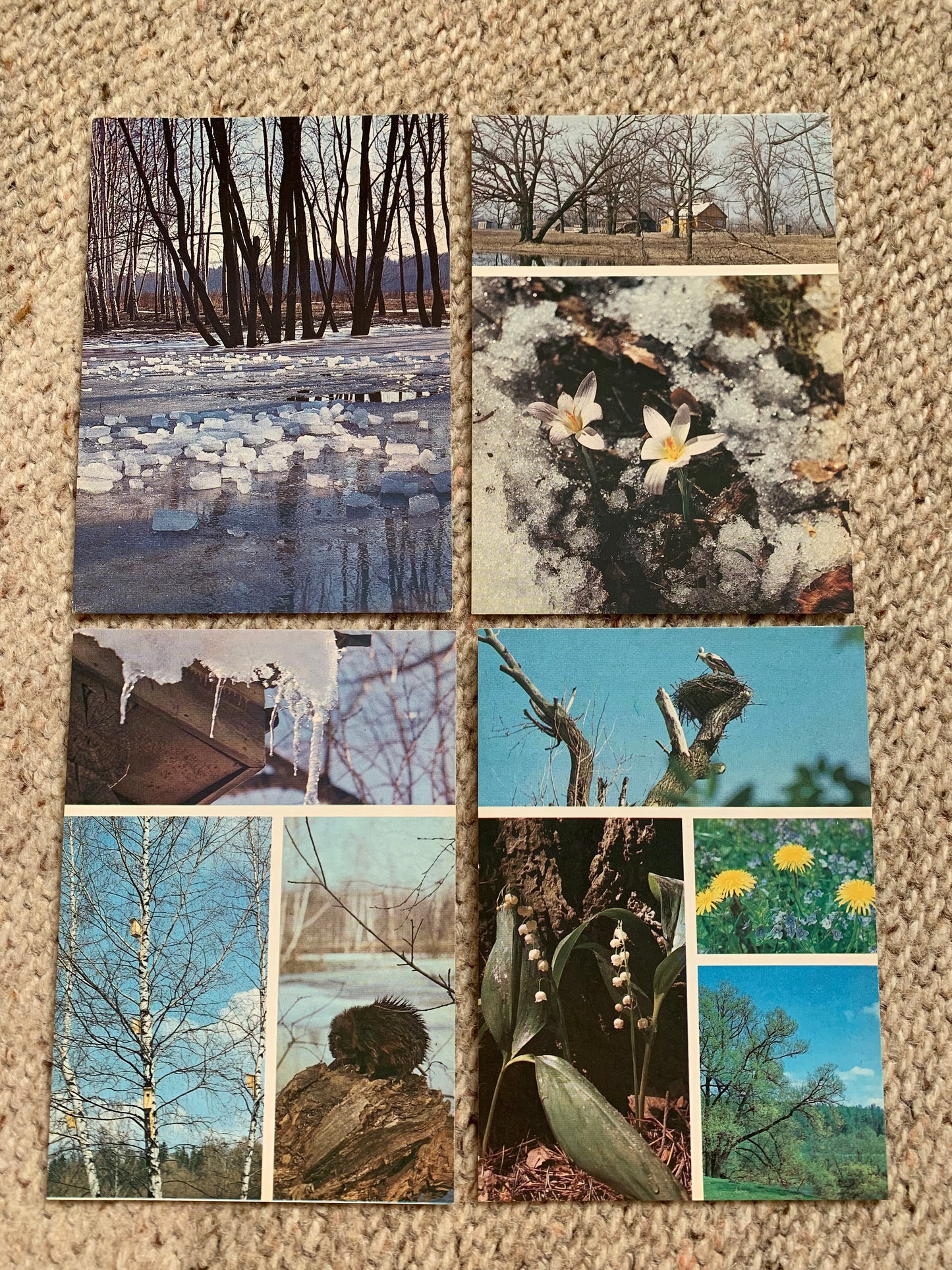 Set of 16 FOUR SEASONS postcards - Spring, Summer, Autumn, Winter - Printed in USSR - 1984 - unused