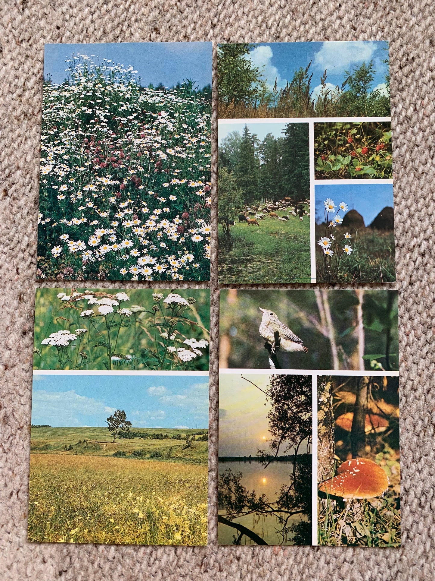 Set of 16 FOUR SEASONS postcards - Spring, Summer, Autumn, Winter - Printed in USSR - 1984 - unused