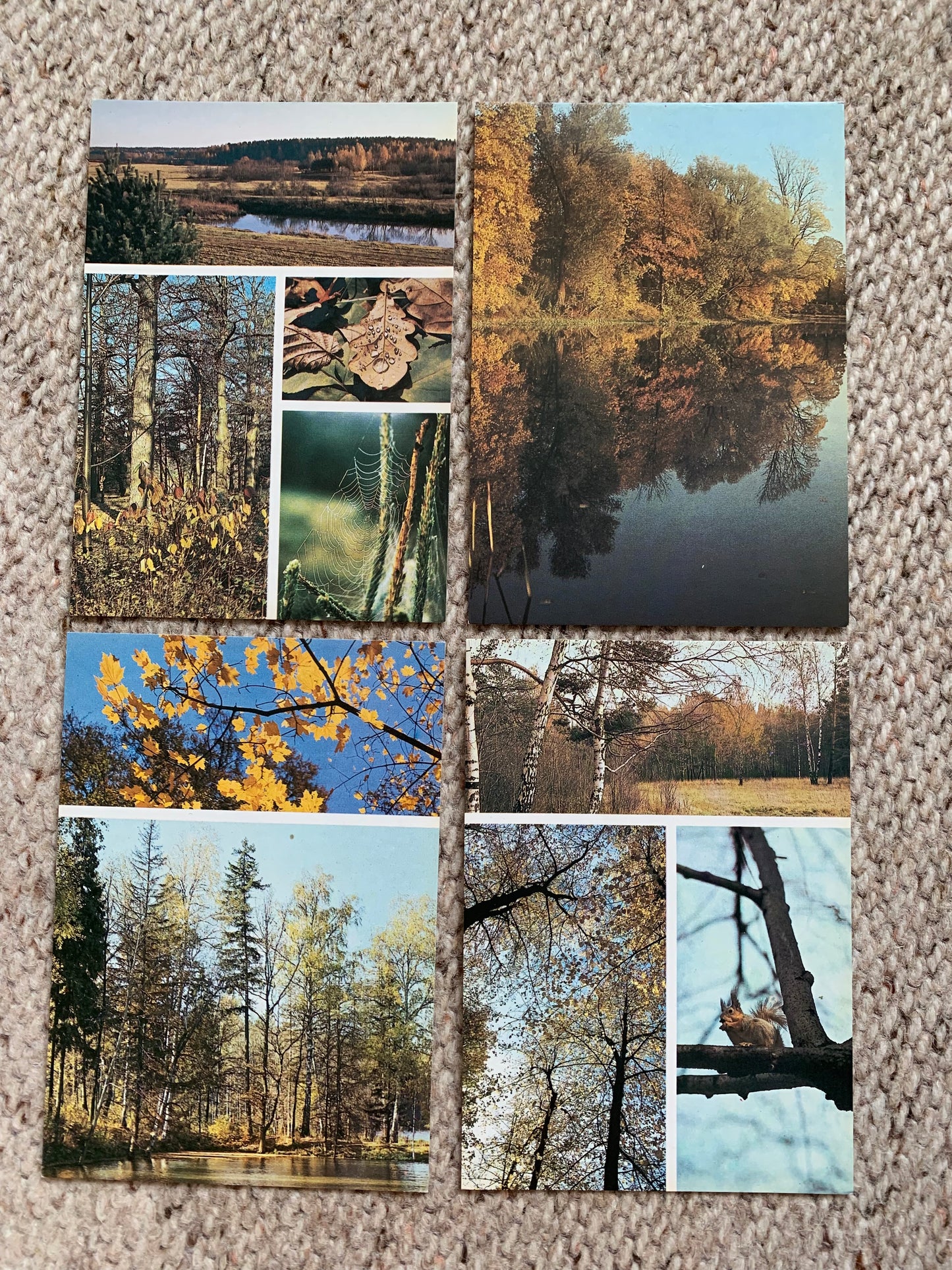 Set of 16 FOUR SEASONS postcards - Spring, Summer, Autumn, Winter - Printed in USSR - 1984 - unused