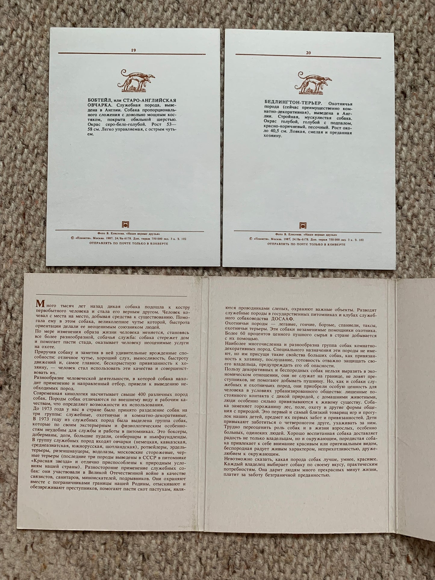 Set of 20 Dog postcards - OUR FAITHFUL FRIENDS - Printed in USSR - 1987 - unused