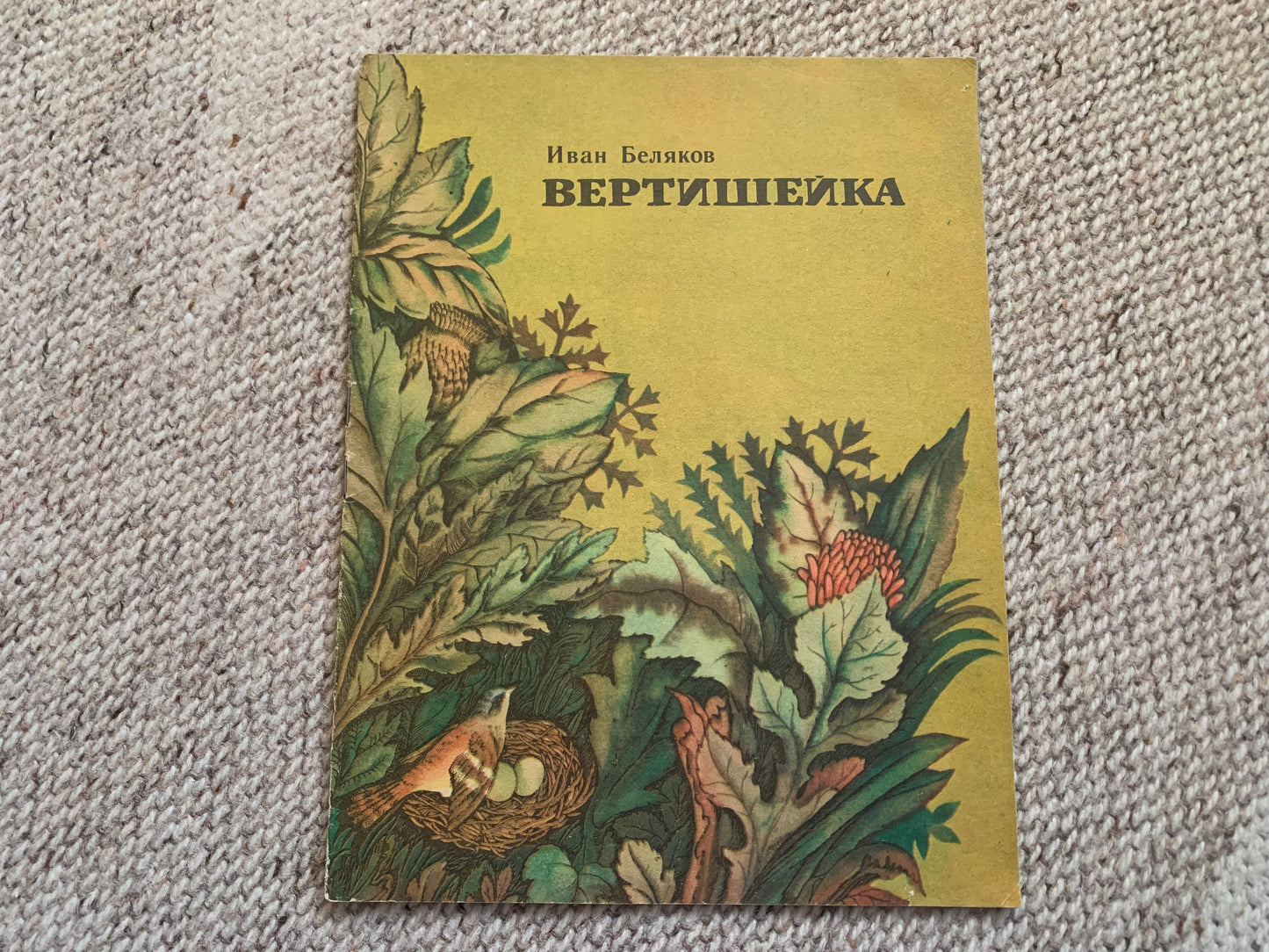 Vintage Russian Children's Book from Soviet Era - ВЕРТИШЕЙКА - WRYNECK - Made in USSR 1983 - gorgeous illustrations