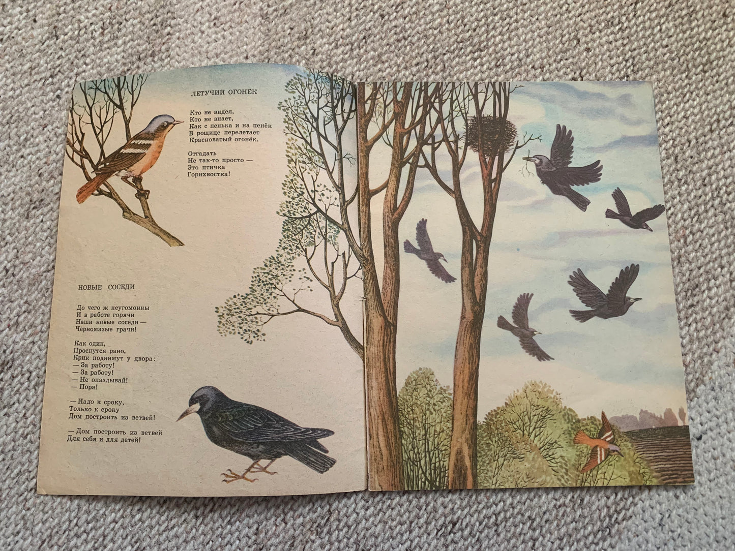 Vintage Russian Children's Book from Soviet Era - ВЕРТИШЕЙКА - WRYNECK - Made in USSR 1983 - gorgeous illustrations