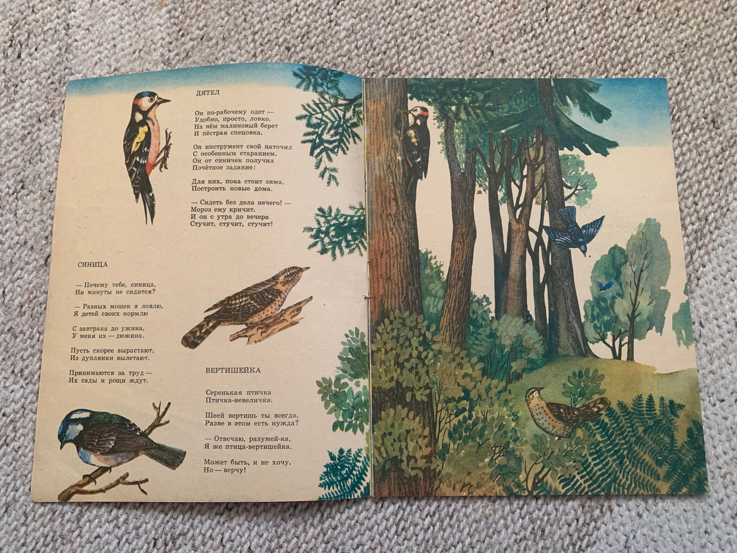 Vintage Russian Children's Book from Soviet Era - ВЕРТИШЕЙКА - WRYNECK - Made in USSR 1983 - gorgeous illustrations
