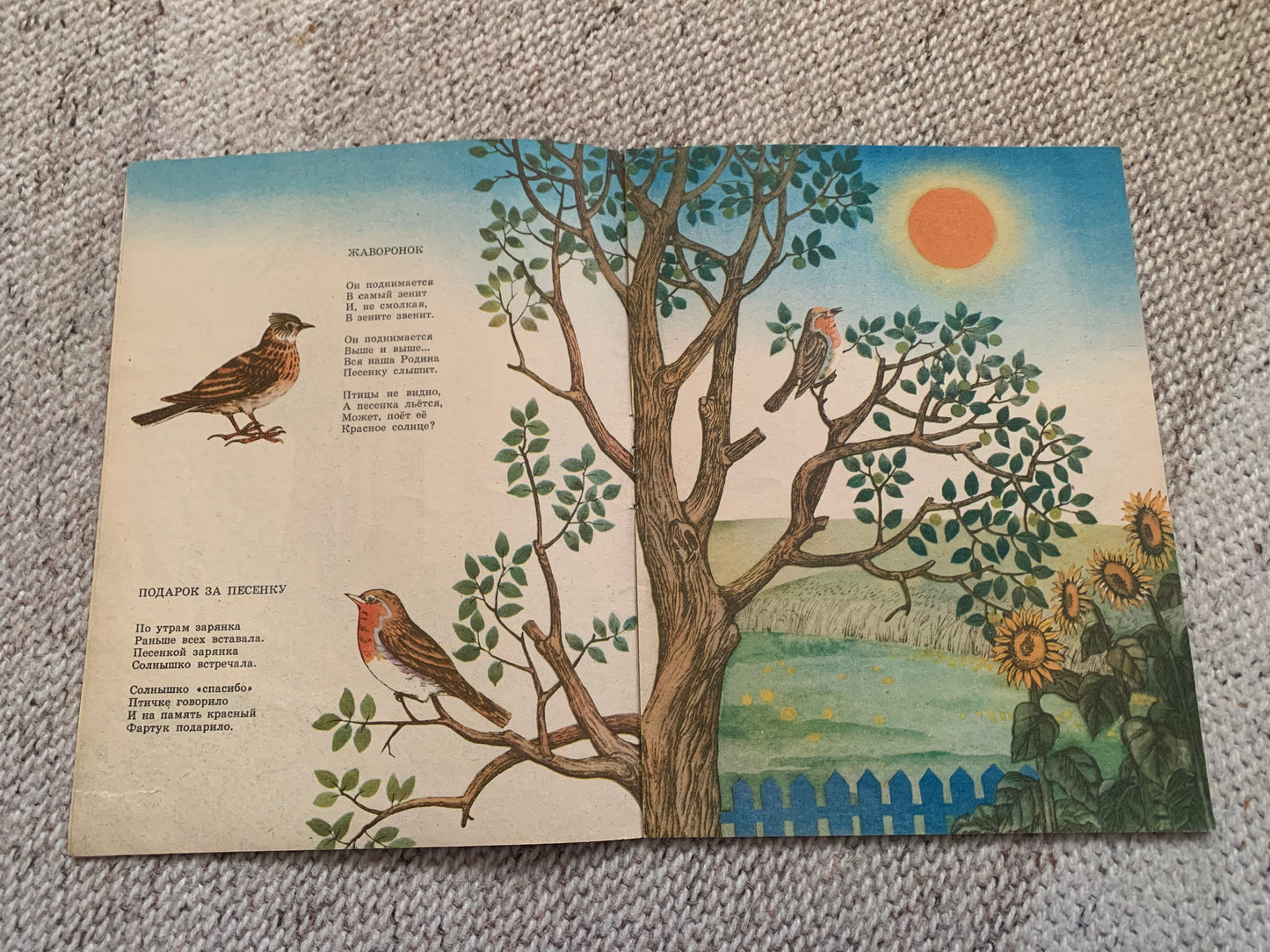 Vintage Russian Children's Book from Soviet Era - ВЕРТИШЕЙКА - WRYNECK - Made in USSR 1983 - gorgeous illustrations