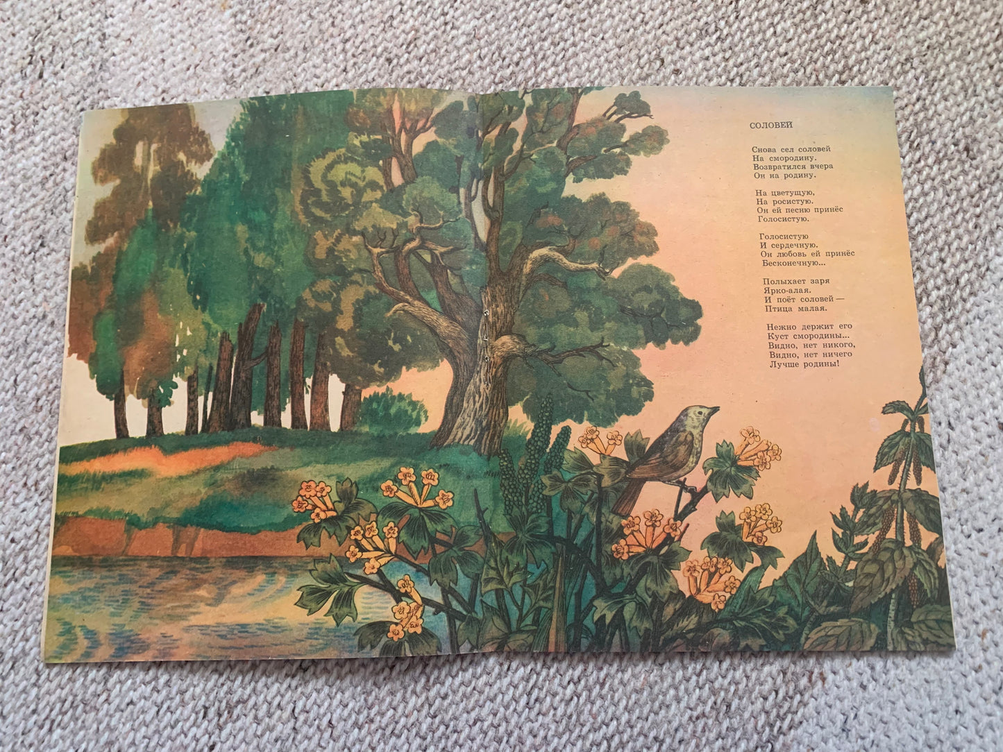 Vintage Russian Children's Book from Soviet Era - ВЕРТИШЕЙКА - WRYNECK - Made in USSR 1983 - gorgeous illustrations