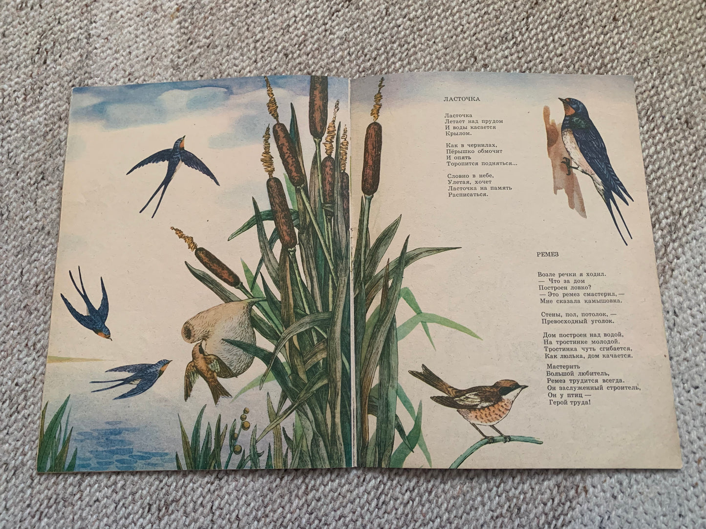 Vintage Russian Children's Book from Soviet Era - ВЕРТИШЕЙКА - WRYNECK - Made in USSR 1983 - gorgeous illustrations