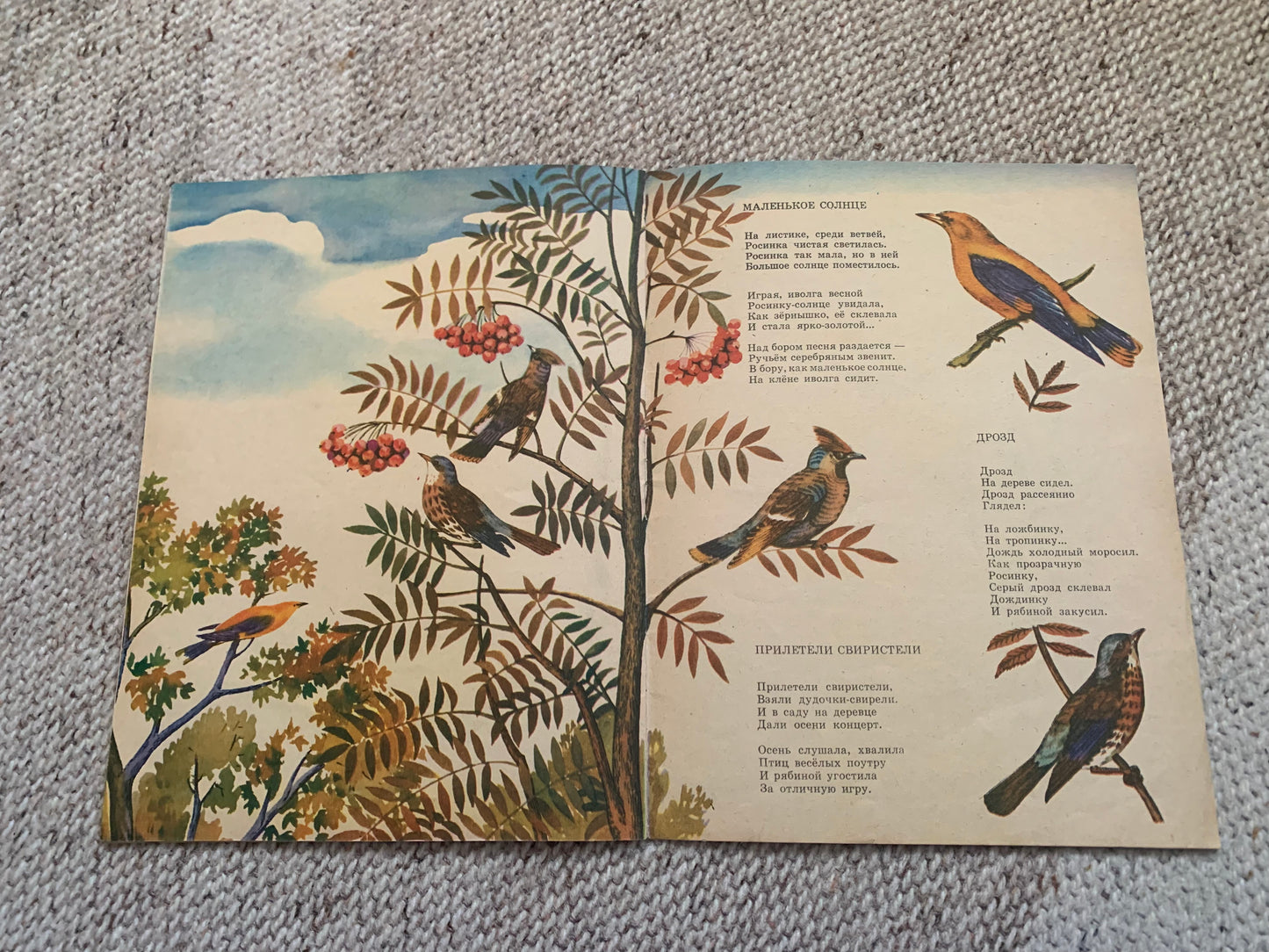Vintage Russian Children's Book from Soviet Era - ВЕРТИШЕЙКА - WRYNECK - Made in USSR 1983 - gorgeous illustrations