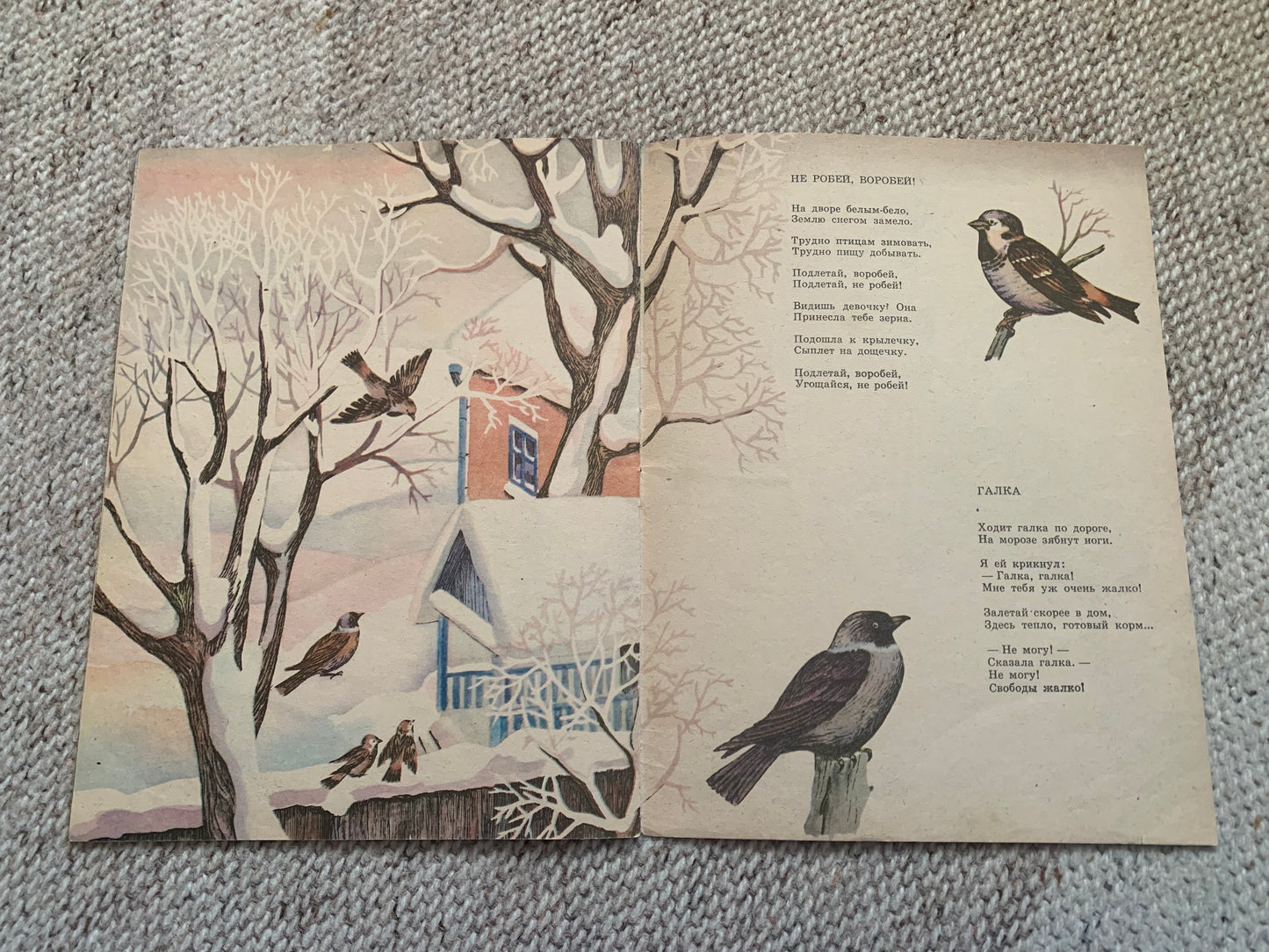 Vintage Russian Children's Book from Soviet Era - ВЕРТИШЕЙКА - WRYNECK - Made in USSR 1983 - gorgeous illustrations