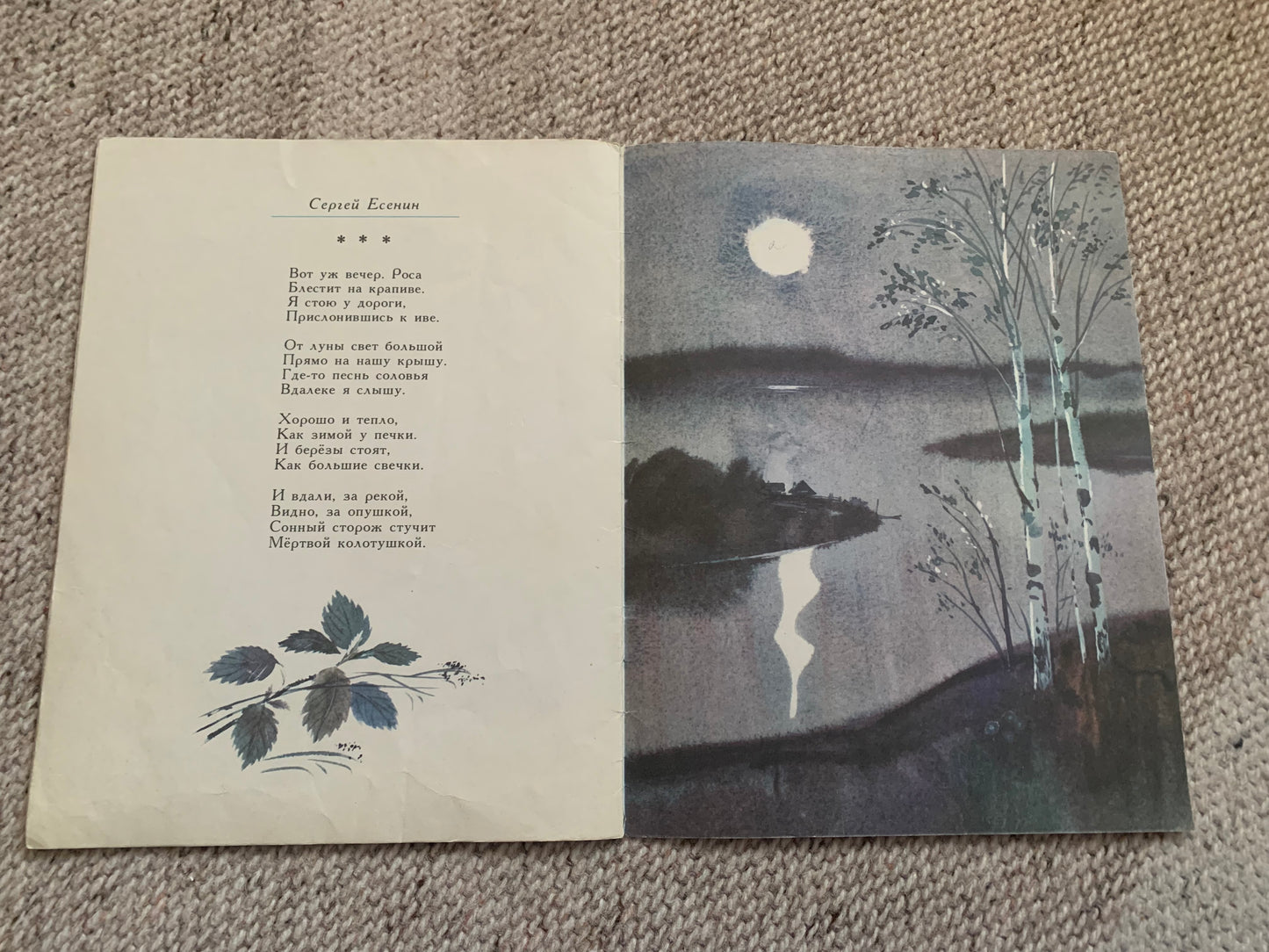 Vintage Russian Children's Book from Soviet Era - DEWDROP - РОСИНКА - Made in USSR 1989 - gorgeous illustrations
