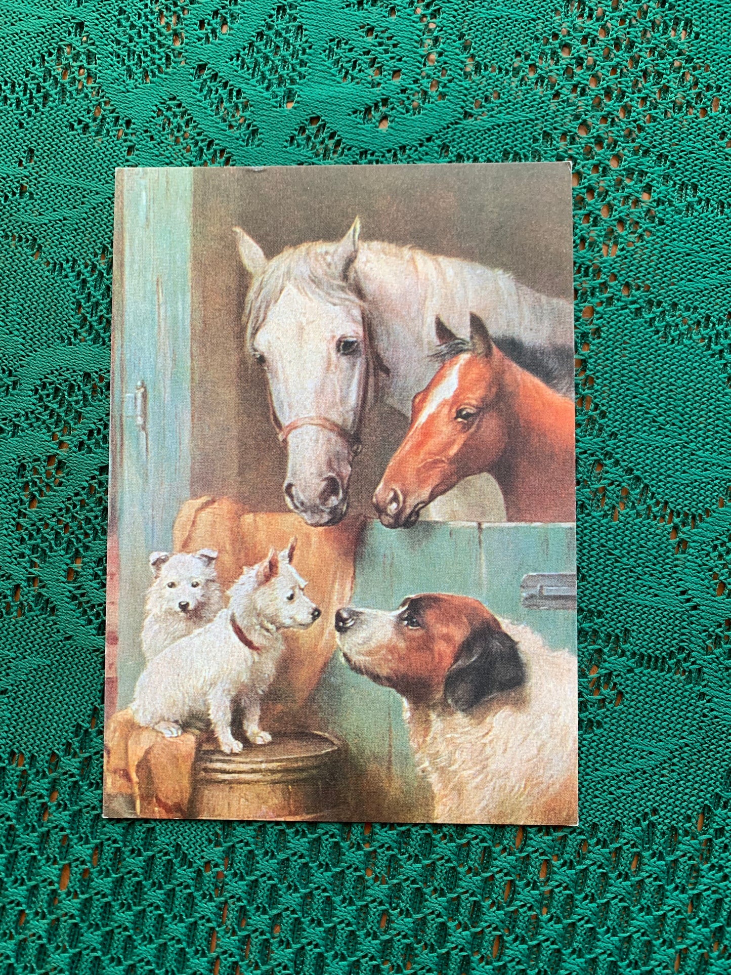Finnish art postcard with horses - Printed in Finland - Greeting card, collectible postcard - unused