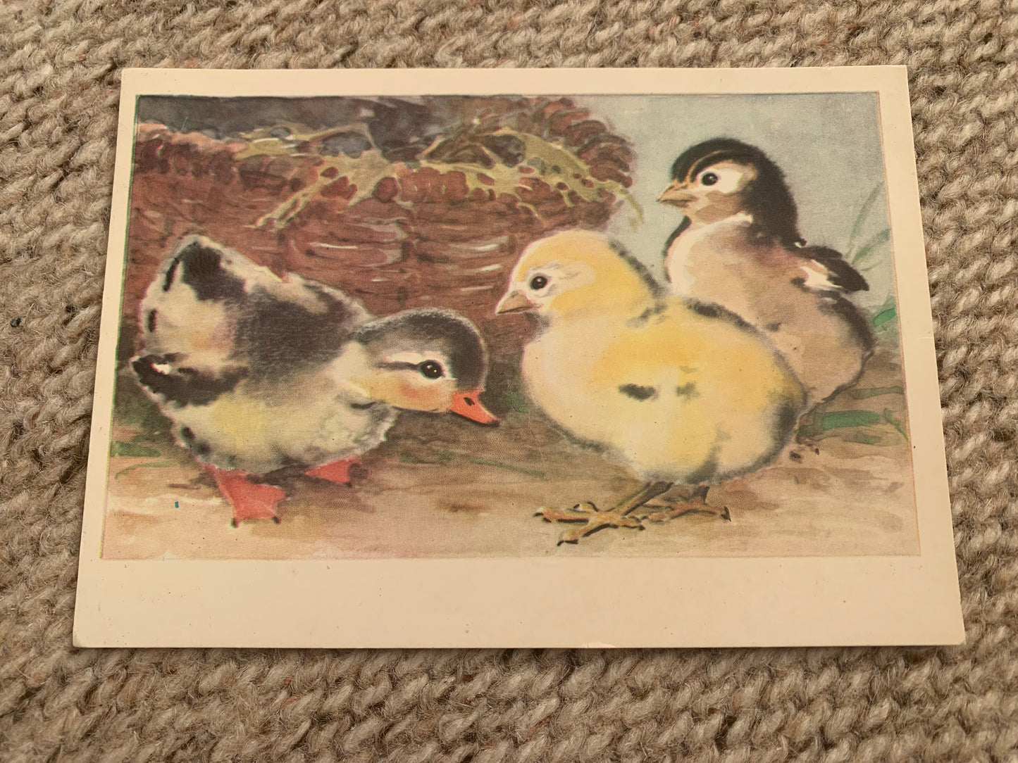 Russian art postcard - Artist L.Gamburger - Chicks - Bird postcard - Printed in USSR - 1975 - unused