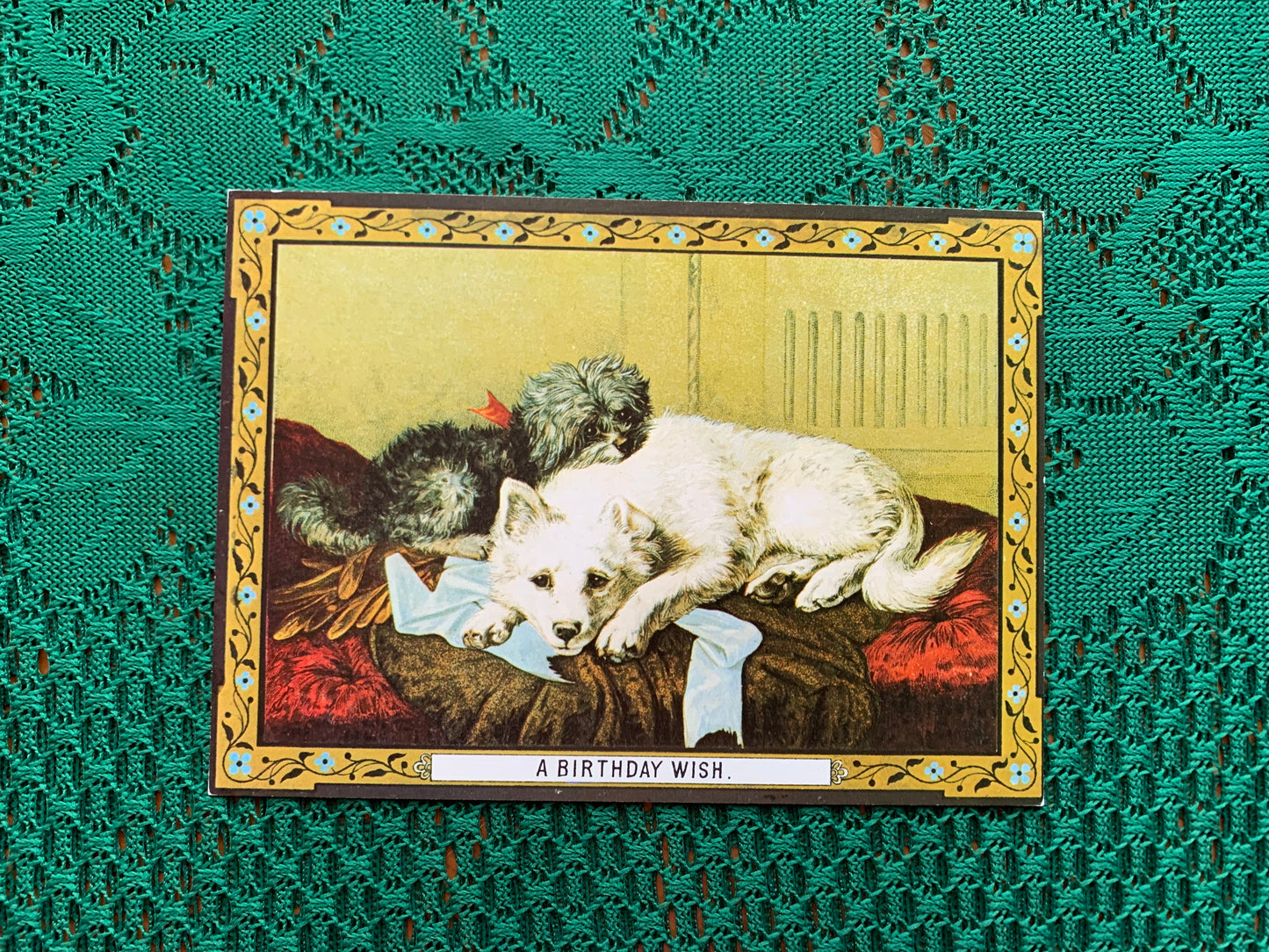 Vintage Chimera art postcard - Produced in UK - Two dogs - Unused Greeting card