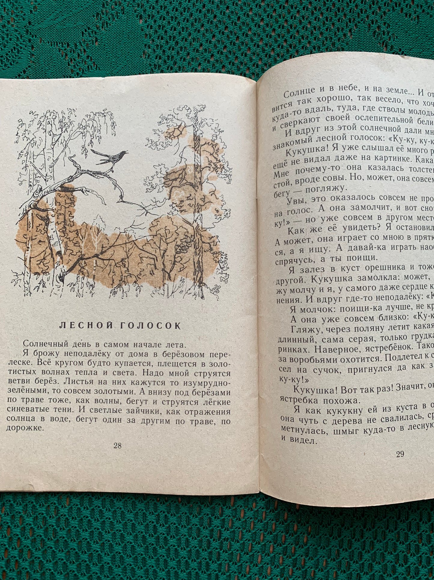 Vintage Russian Children's Book - THE VOICE OF FOREST - 1984
