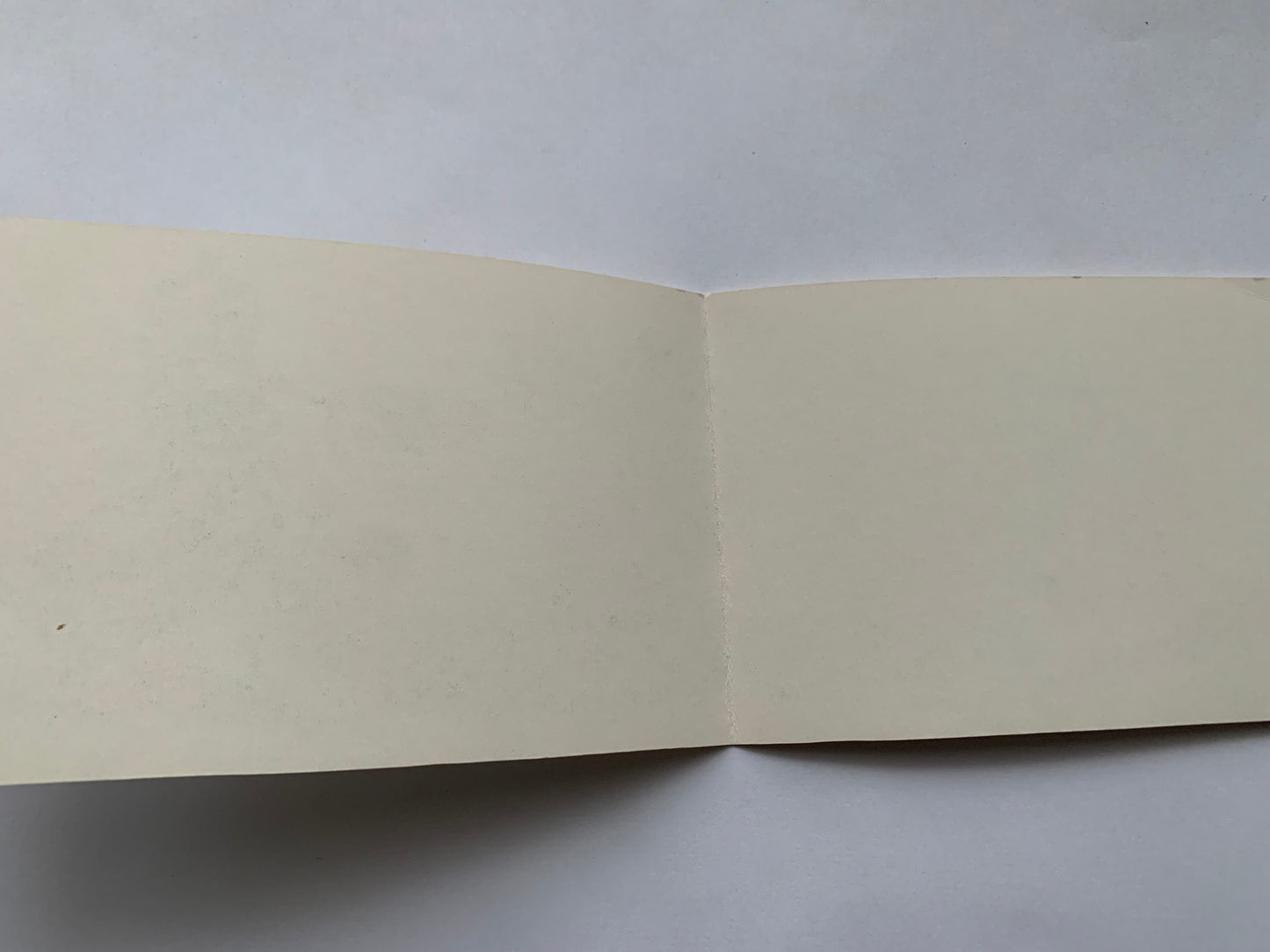 Russian art postcard - Greeting card - Artist Selivanova - Printed in USSR - 1984 - unused