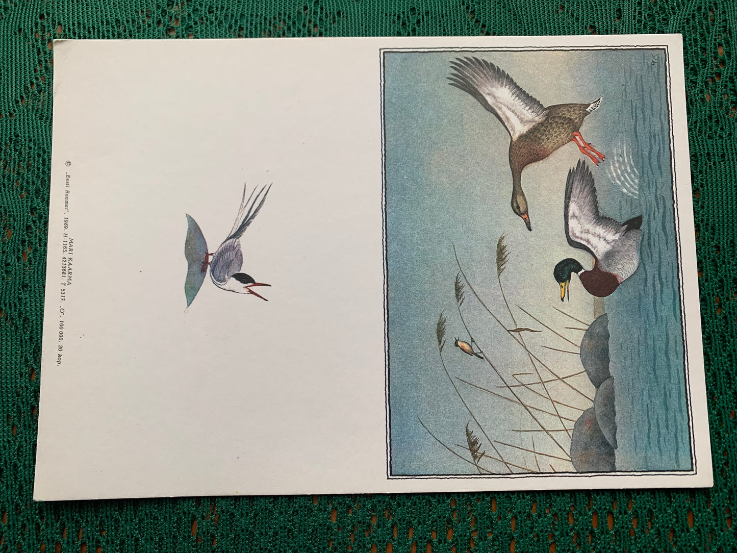 Estonian art postcard - Artist Mari Kaarma - Printed in USSR - 1989 - unused