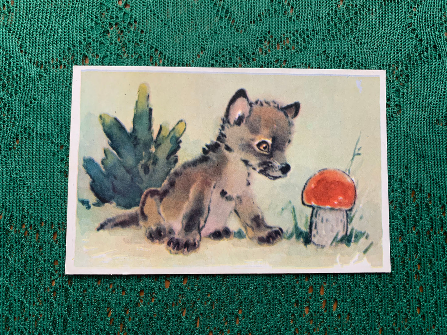 Russian art postcard - Artist L.Gamburger - Cute Wolfie and Red Mushroom - Animal postcard - Printed in USSR - 1970 - unused