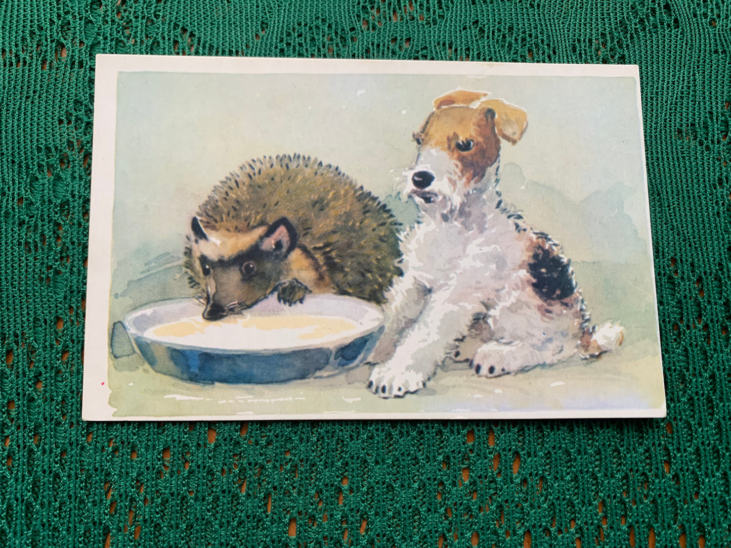 Russian art postcard - Artist L.Gamburger - Hedgehog drinking milk and Puppy watching - Animal postcard - Printed in USSR - 1970 - unused