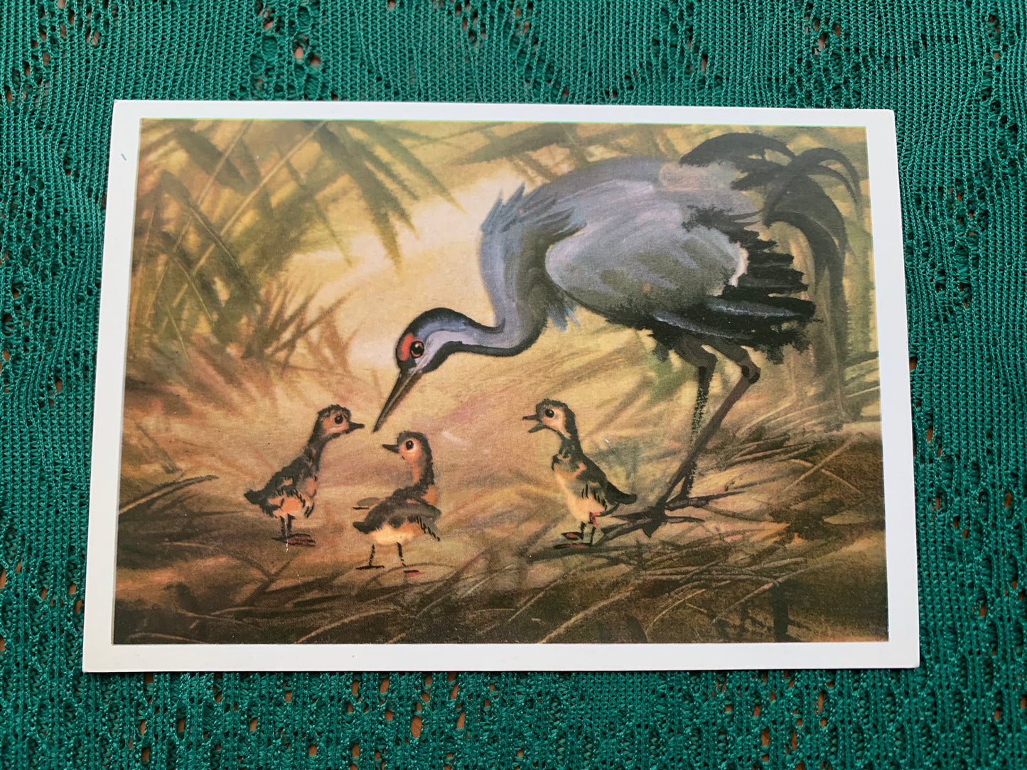 Russian art postcard - Bird postcard - COMMON CRANE - Artist V. Kanevsky - Printed in USSR - 1980 - unused