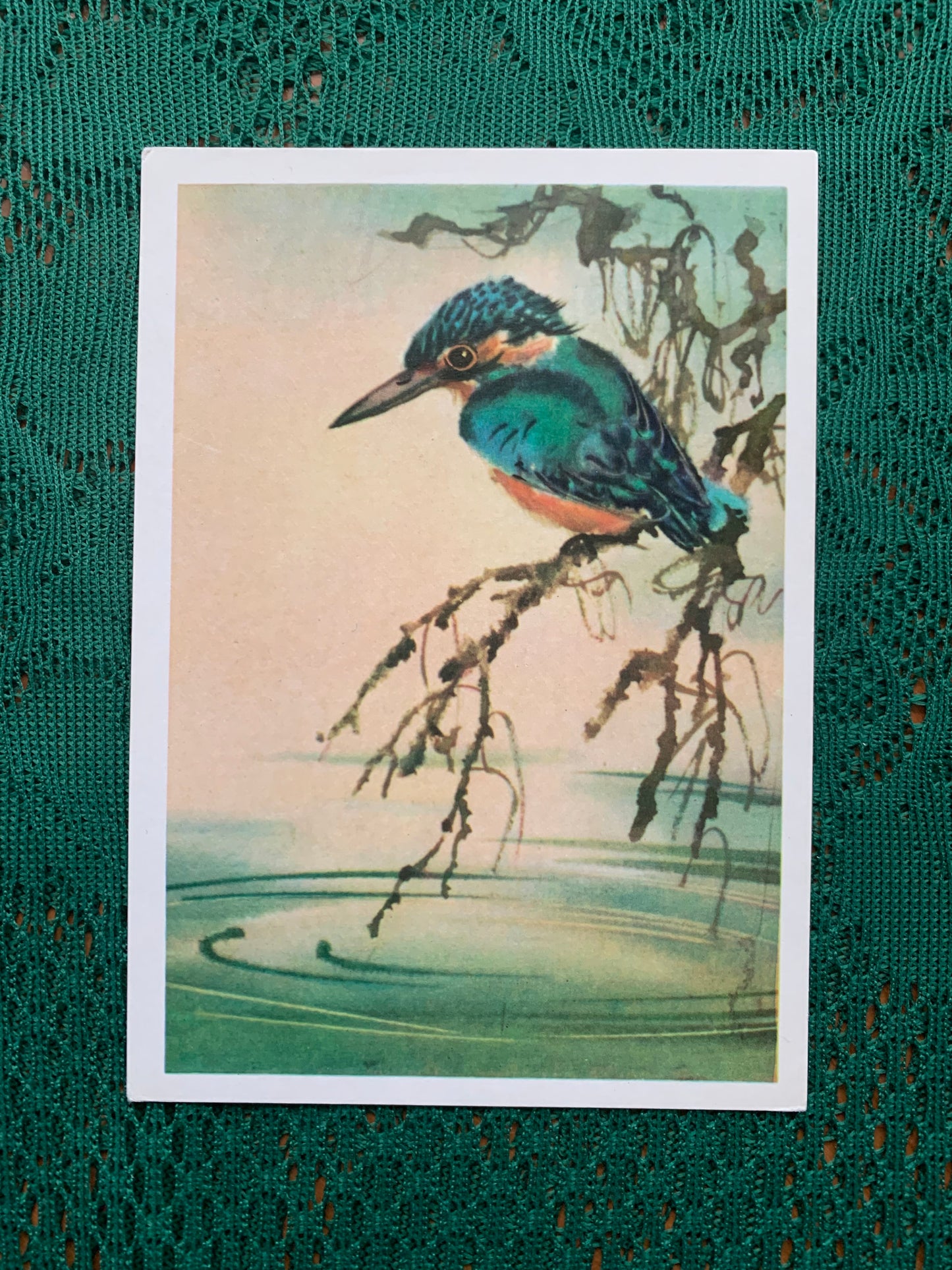 Russian art postcard - Bird postcard - COMMON KINGFISHER - Artist V. Kanevsky - Printed in USSR - 1980 - unused