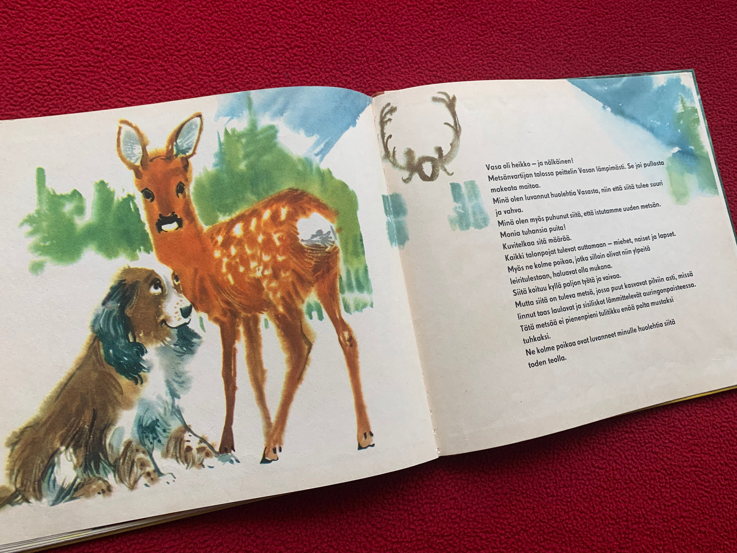 Finnish Children's Book from 1958 - Vasa, a small roe deer - Printed in GDR (East Germany) - Lovely vintage illustrations