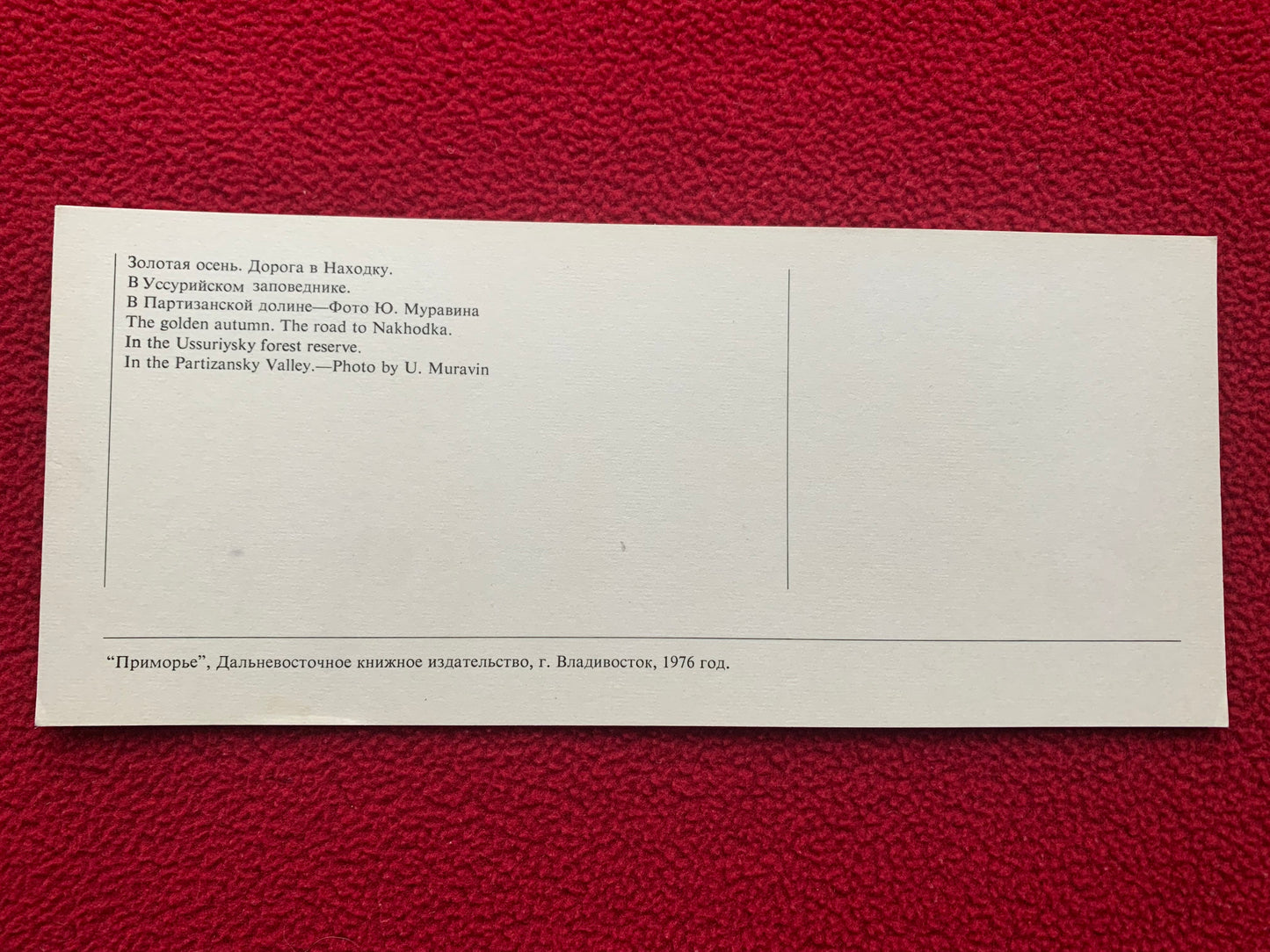Vladivostok postcard - Владивостoк - Soviet Russia - Printed in USSR - 1976 - unused