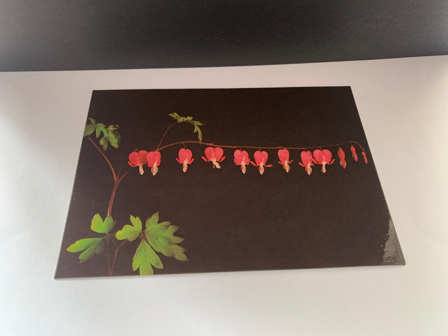 Estonian art postcard - Artist T.Tepandi - Flowers - Broken Hearts - 1990 - unused