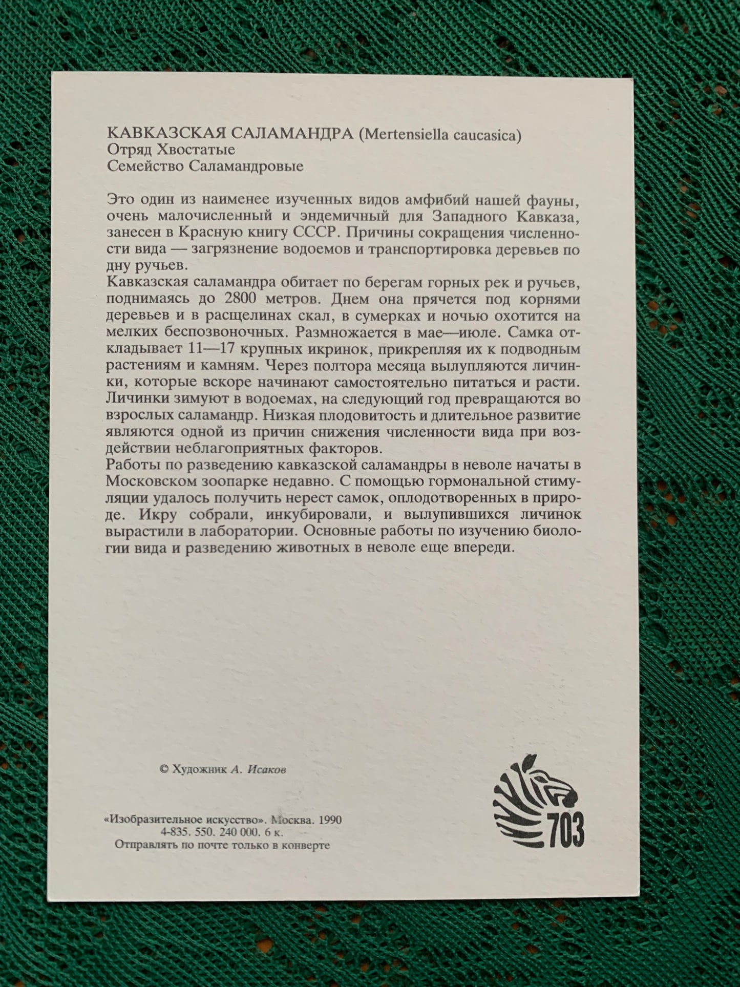 Russian art postcard - Artist A.Isakov - CAUCASIAN SALAMANDER - Animal postcard - Printed in USSR - 1989 - unused