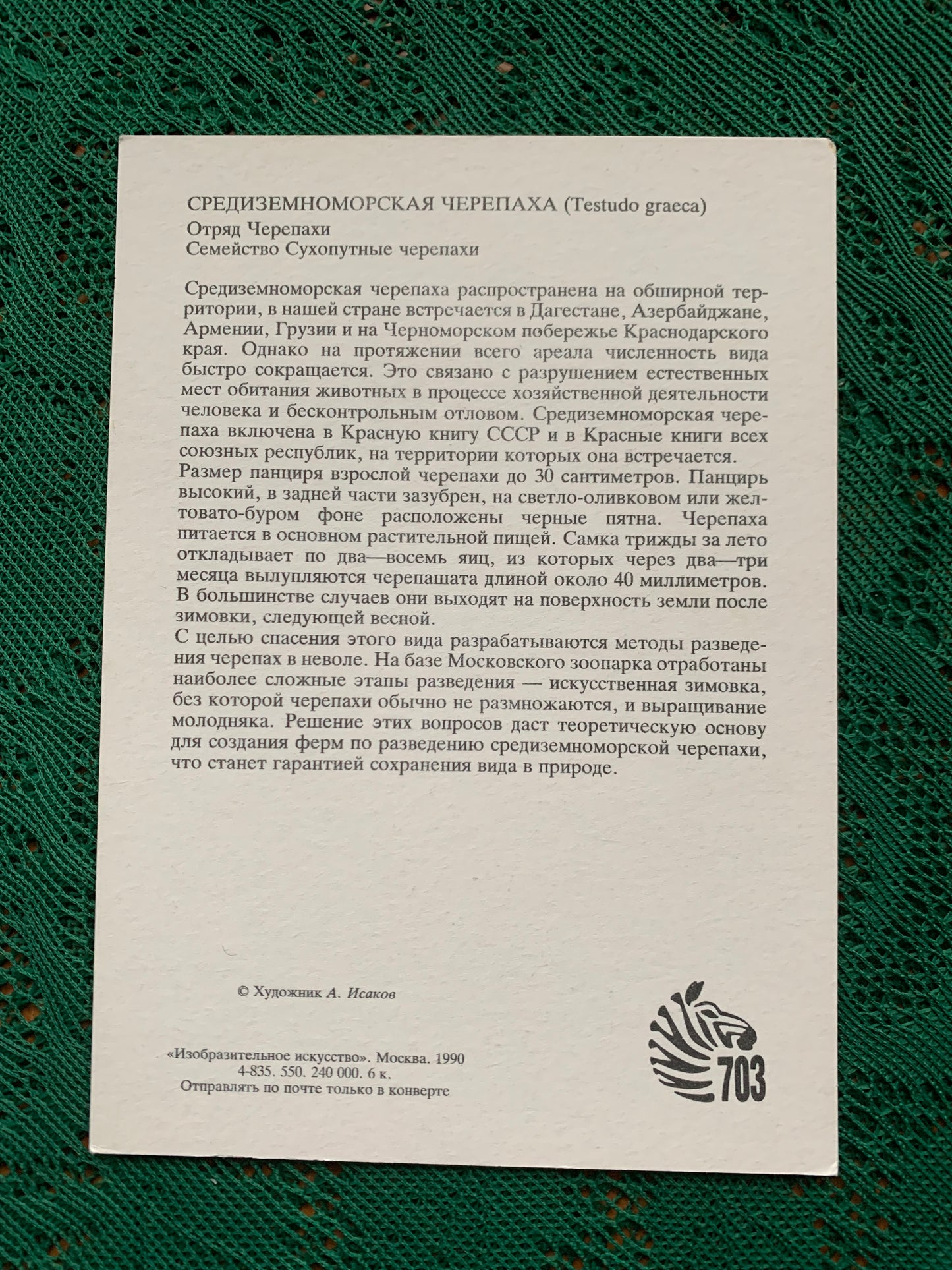 Russian art postcard - Artist A.Isakov - MEDITERRANEAN TURTLE - Animal postcard - Printed in USSR - 1989 - unused