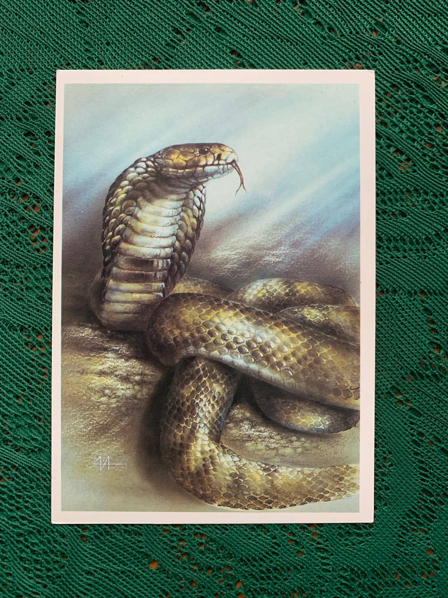 Russian art postcard - Artist A.Isakov - CENTRAL ASIAN COBRA - Animal postcard - Printed in USSR - 1989 - unused