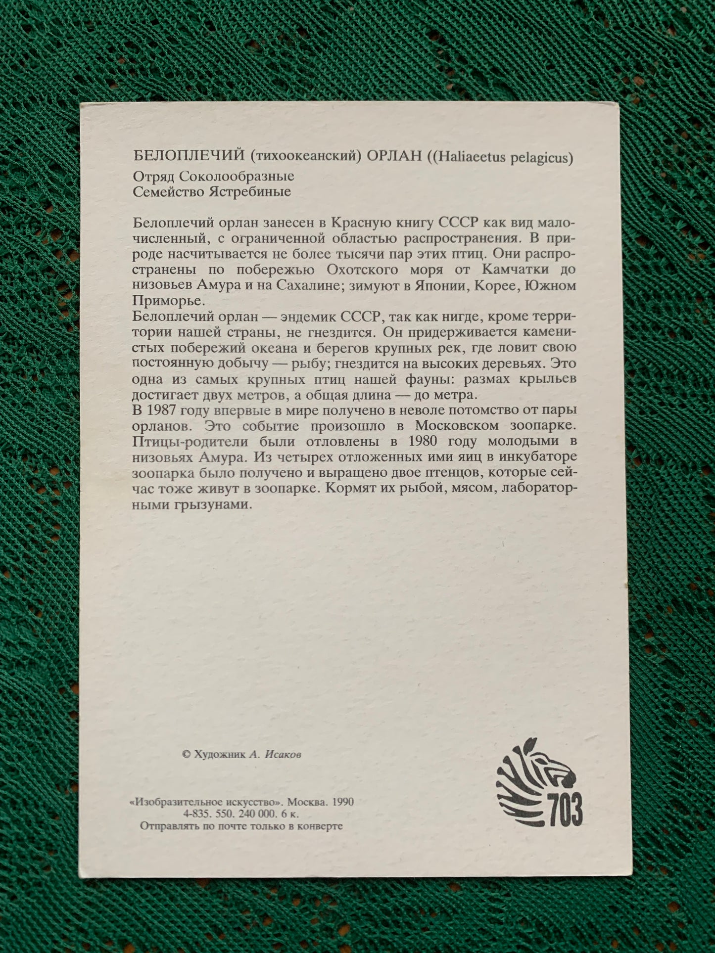 Russian art postcard - Artist A.Isakov - SEA EAGLE - Animal postcard - Printed in USSR - 1989 - unused