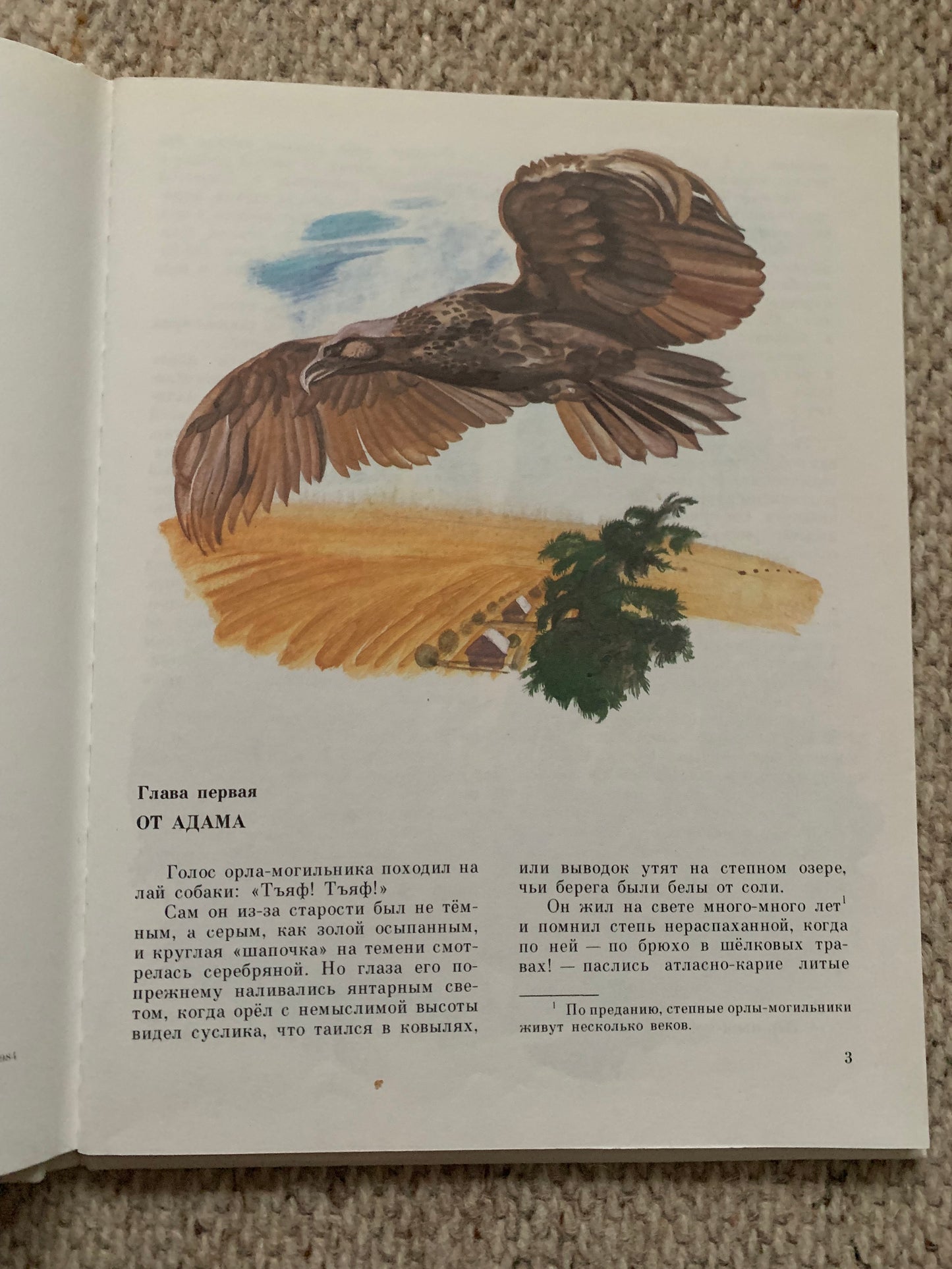 Vintage book - Russian Literature - Stanislav Romanovsky - Family crew - 1988