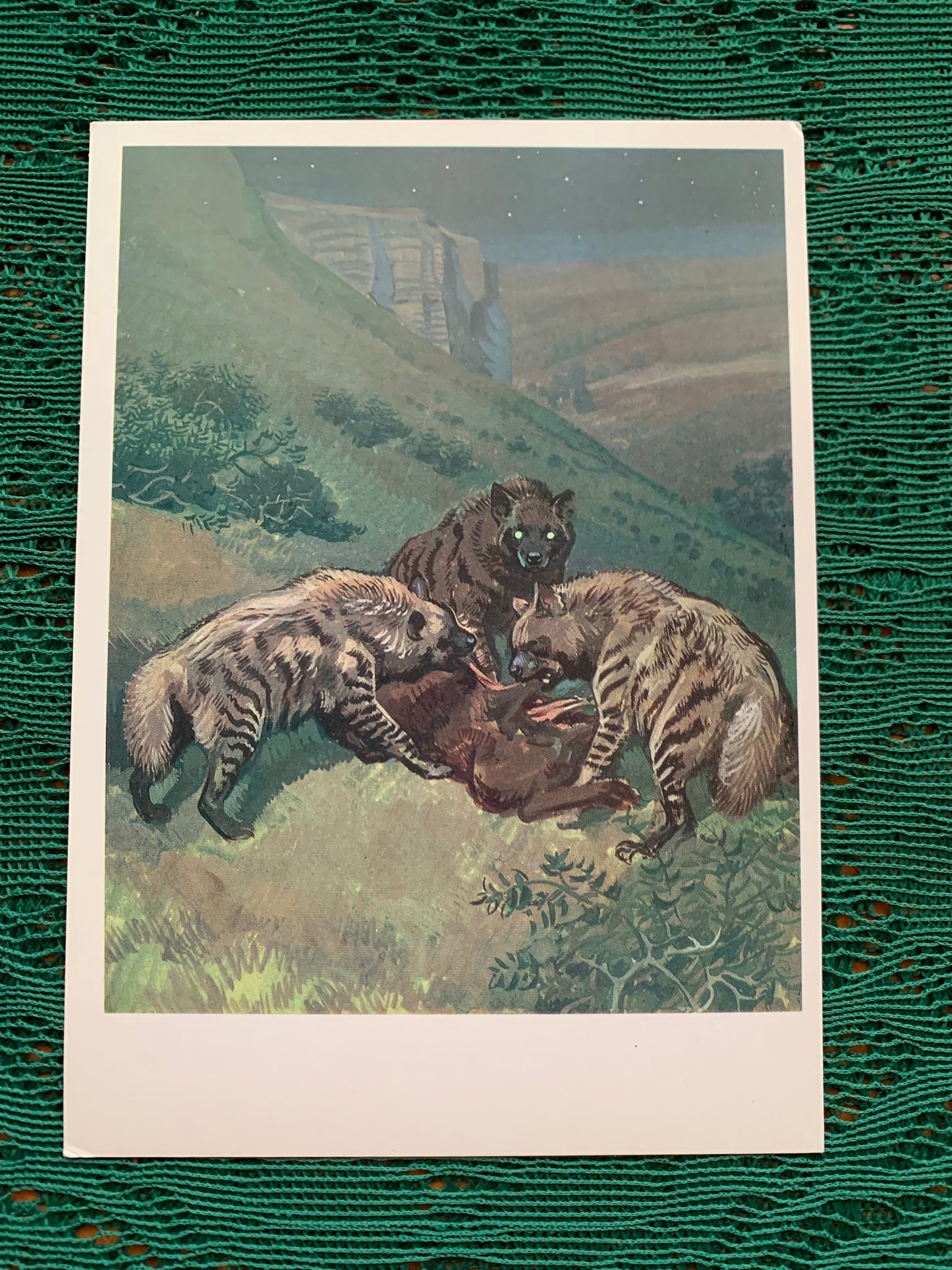 Russian art postcard - Artist V.Gorbatov - Striped hyena (Hyaena hyaena) - Animal postcard - Printed in USSR - 1990 - unused