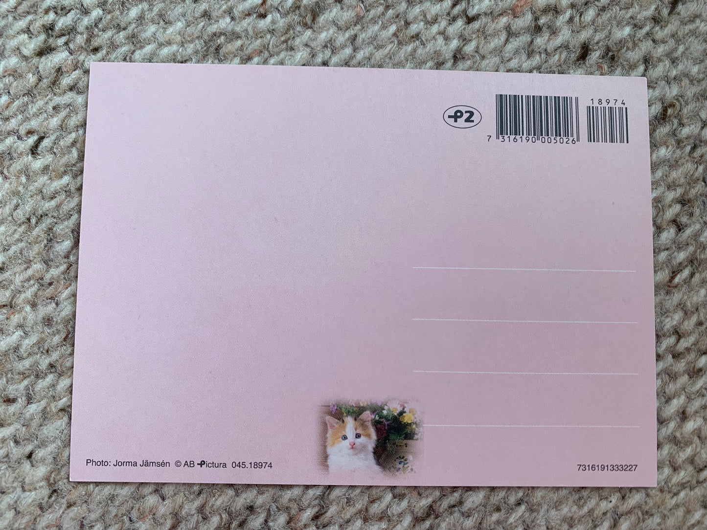 CAT postcard - Collectible card - Printed in Sweden - 2000s - unused