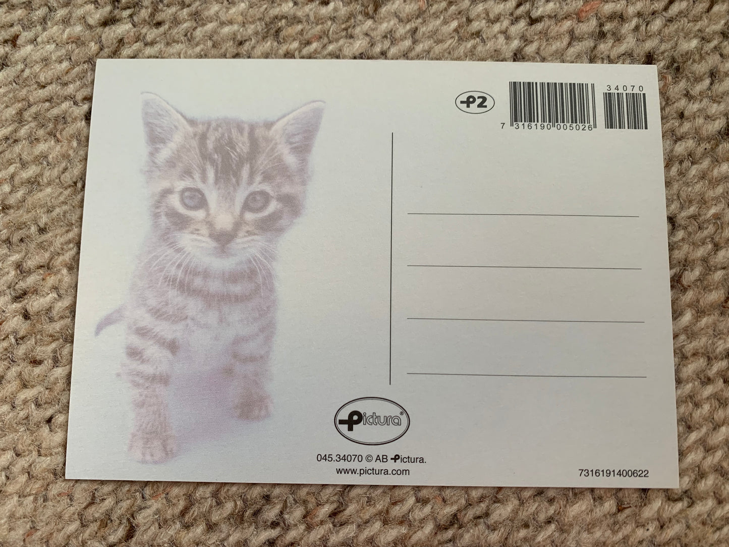 CAT postcard - Collectible card - Printed in Sweden - 2000s - unused