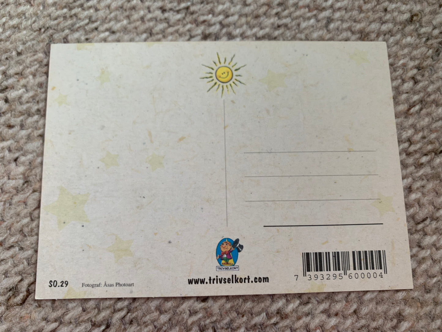 CAT postcard - Collectible card - Printed in Sweden - 2000s - unused