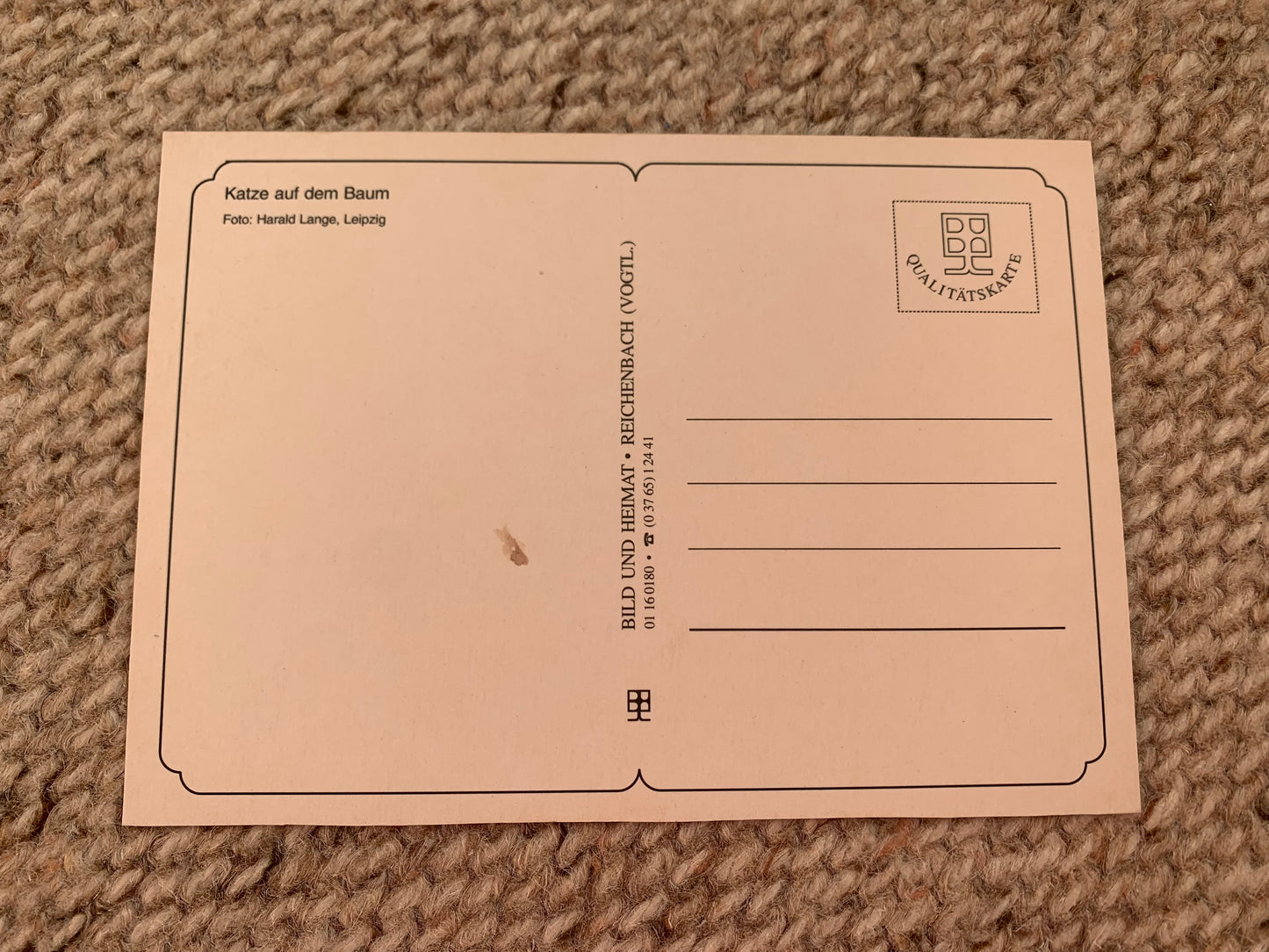 CAT postcard - Collectible card - Printed in Germany - 1990s - unused