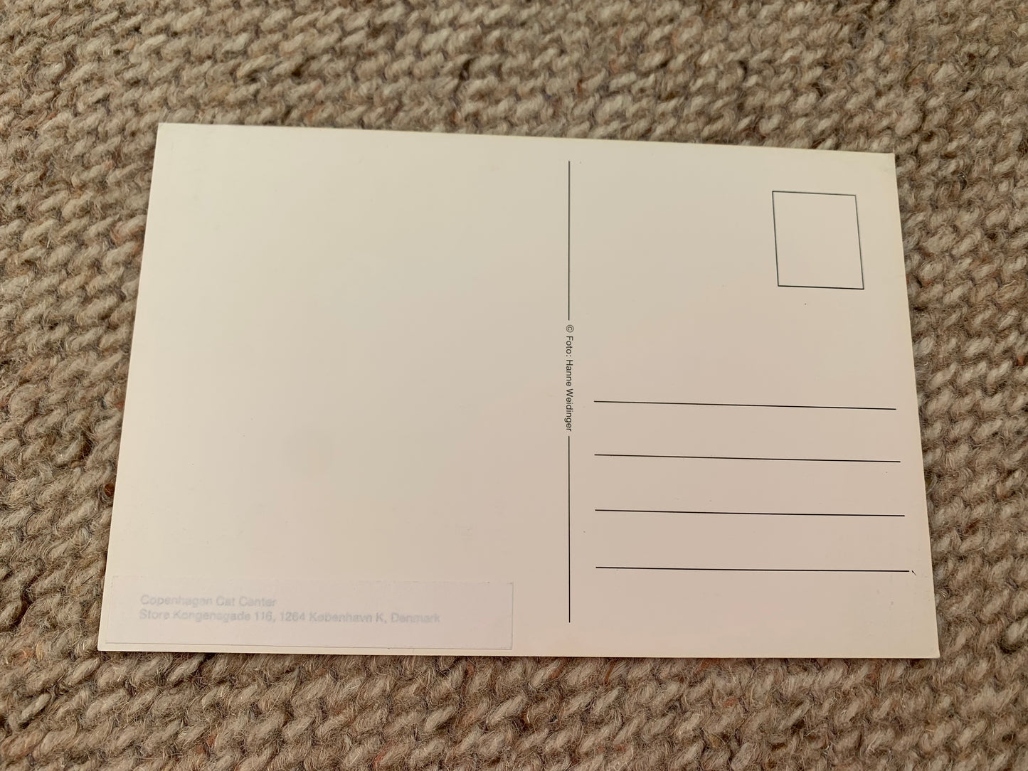 CAT postcard - Collectible card - Printed in Denmark - 2000s - unused