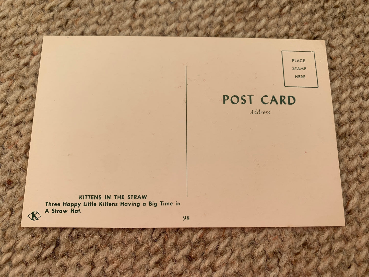 CAT postcard - Collectible card - KITTENS IN THE STRAW - Three Happy Little Kittens Having a Big Time - 2000s - unused