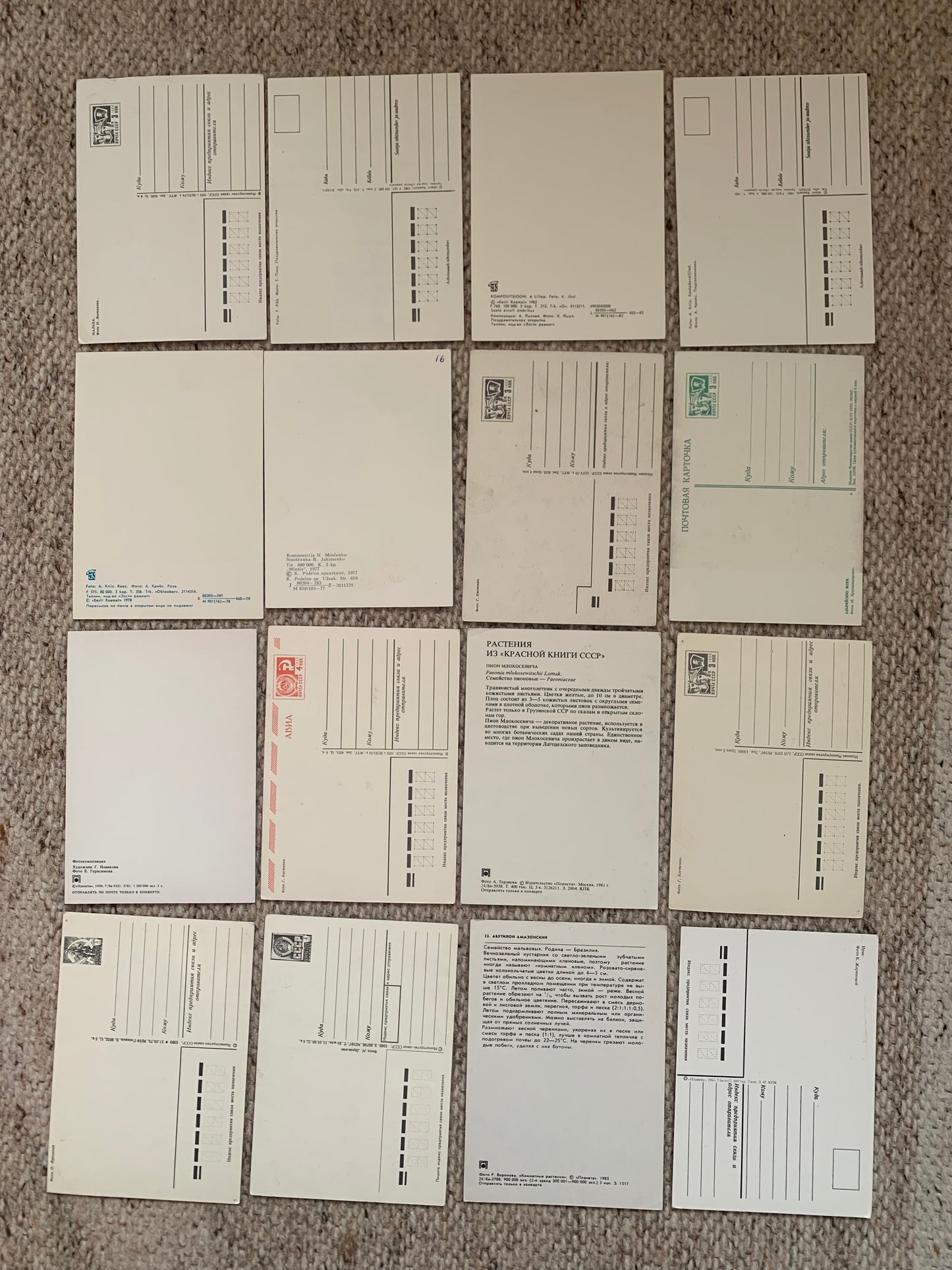 16 Unused FLOWER / FLORAL postcards - Printed in USSR - 1970-1980s