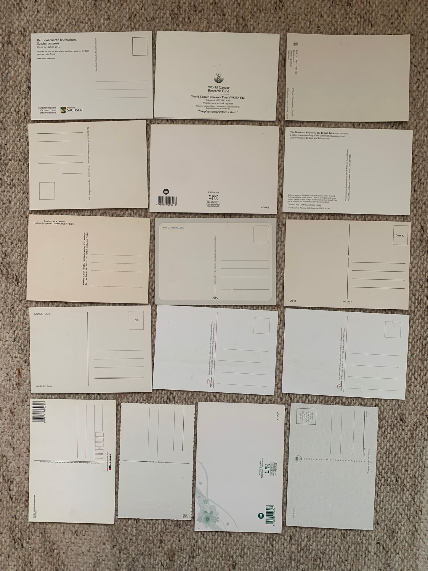 16 Unused FLOWER / FLORAL postcards - Printed in different countries - 2000s