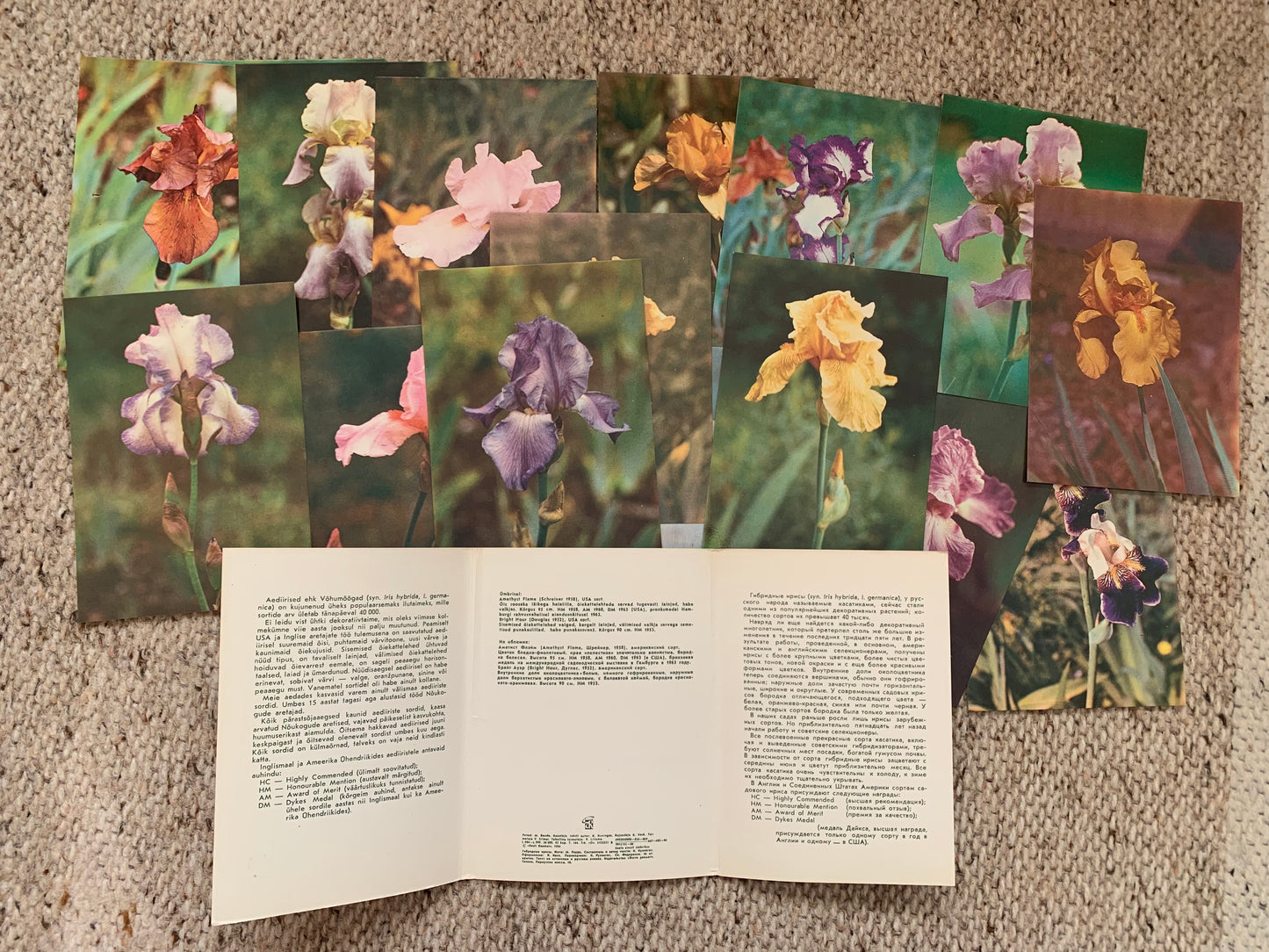 4 Unused FLOWER / FLORAL postcard sets - Printed in Soviet Estonia / USSR - 1980s
